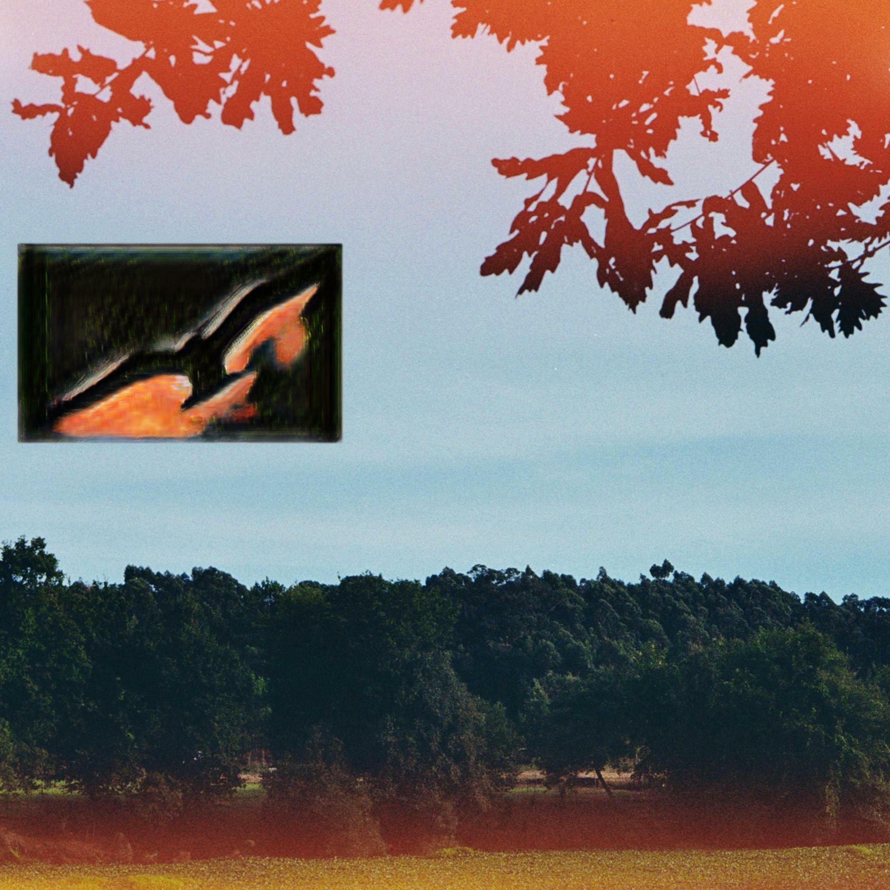 Track Image