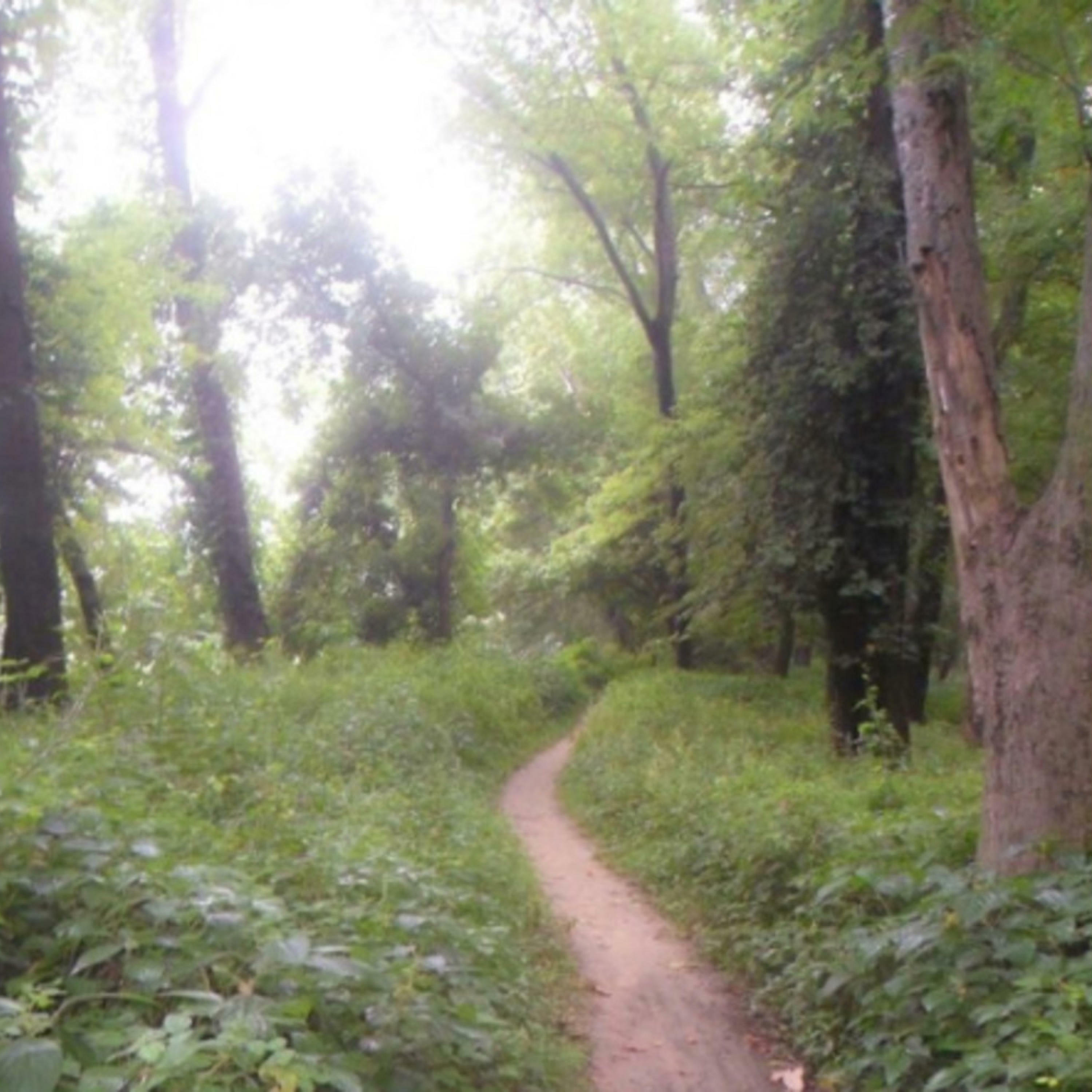 Track Image