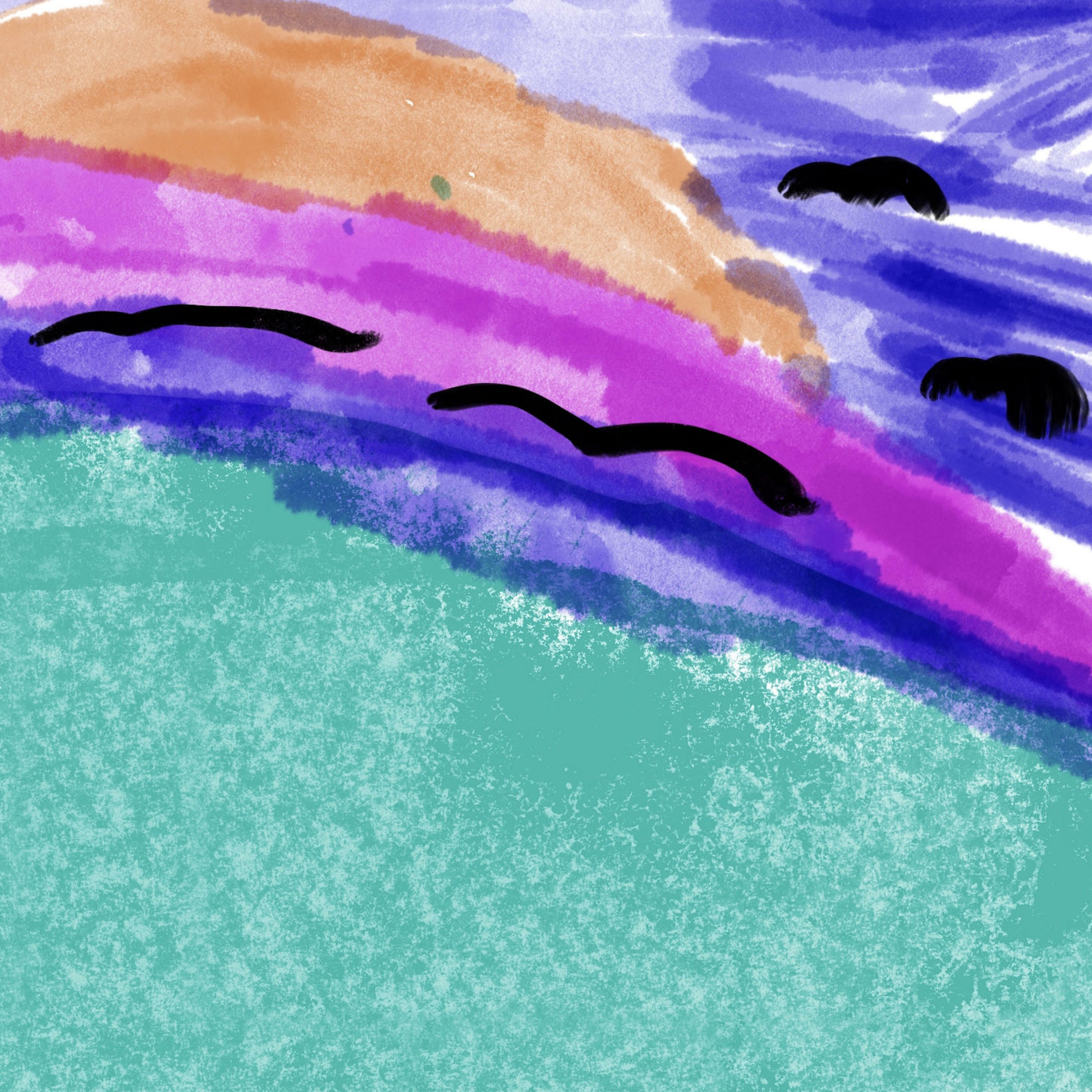 Track Image