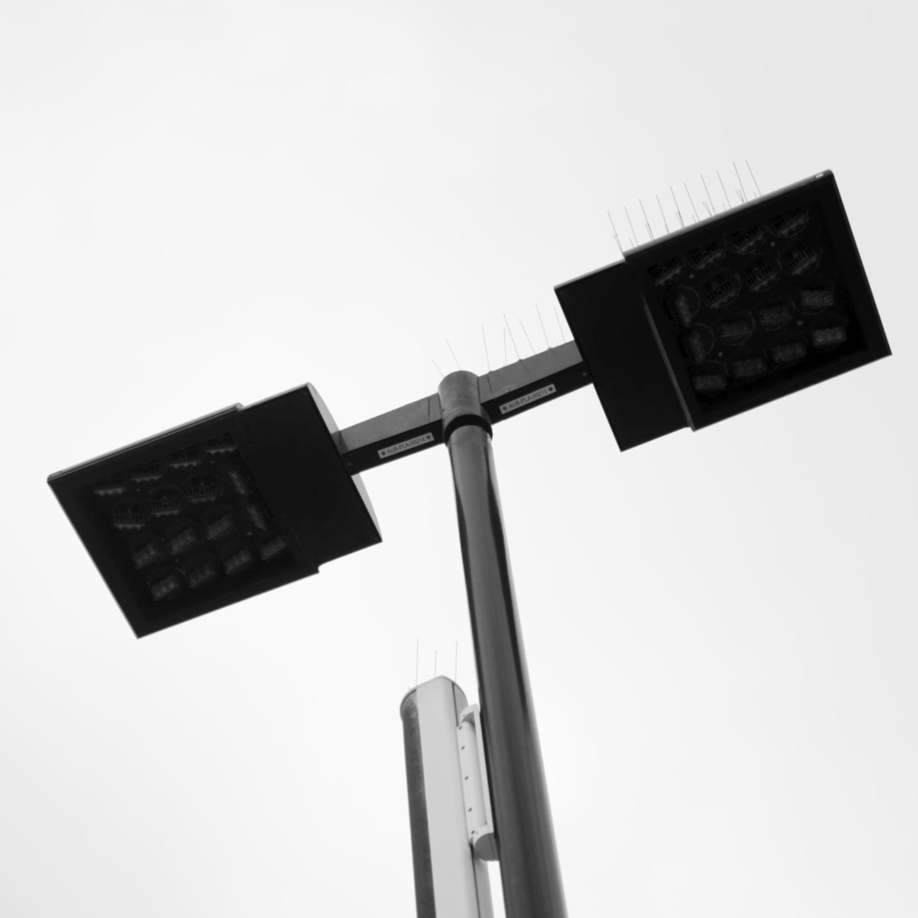 Track Image