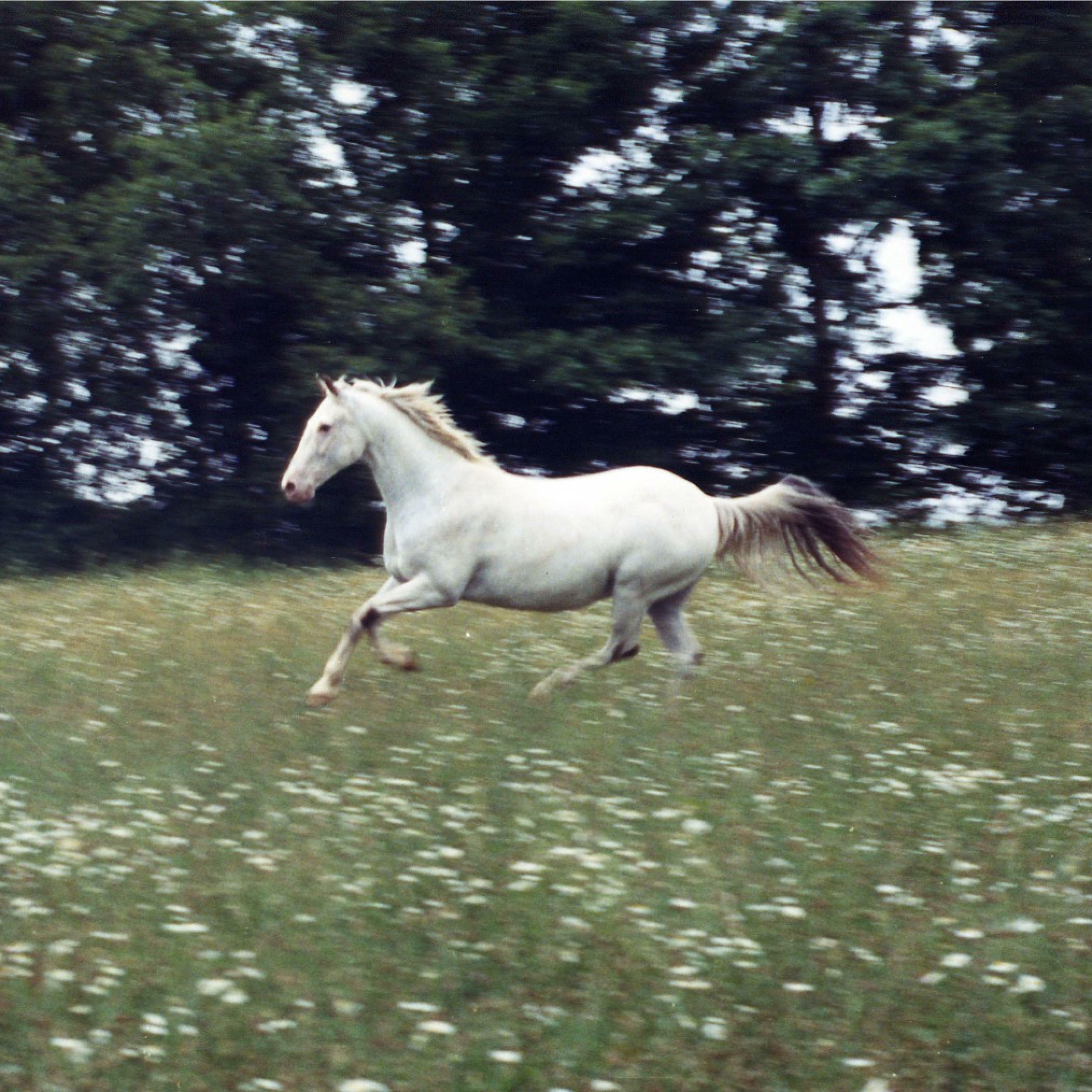 Track Image