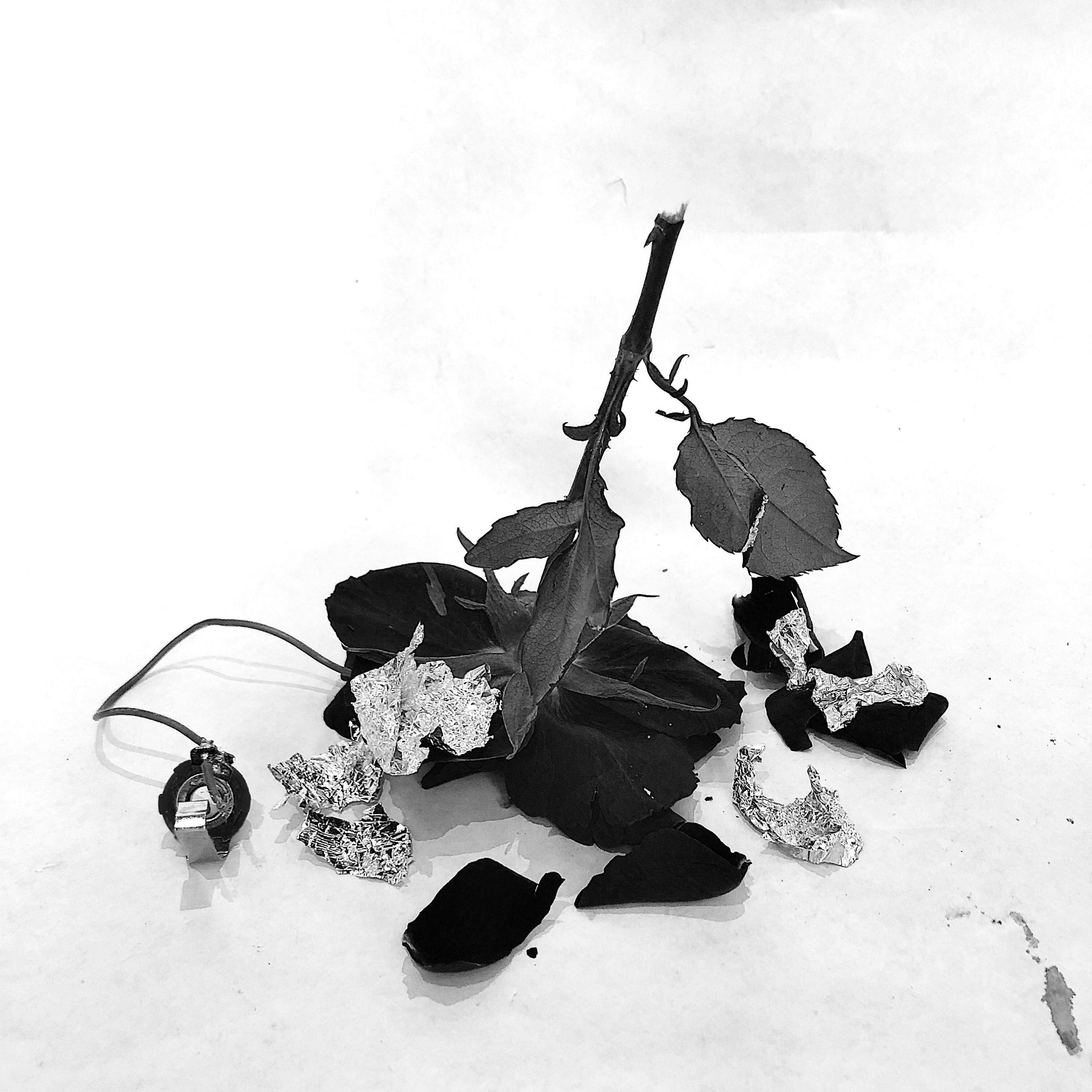 Track Image