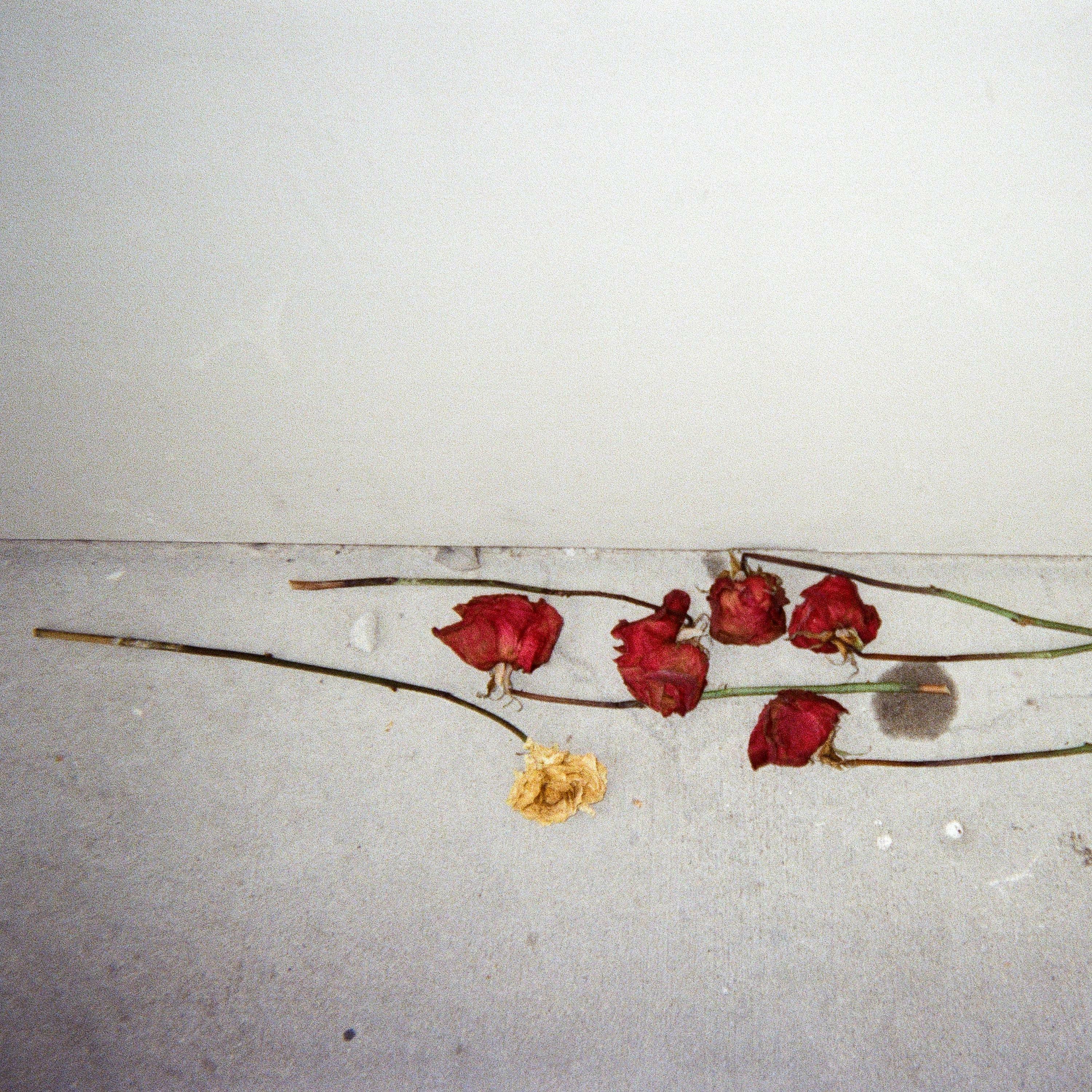 Track Image