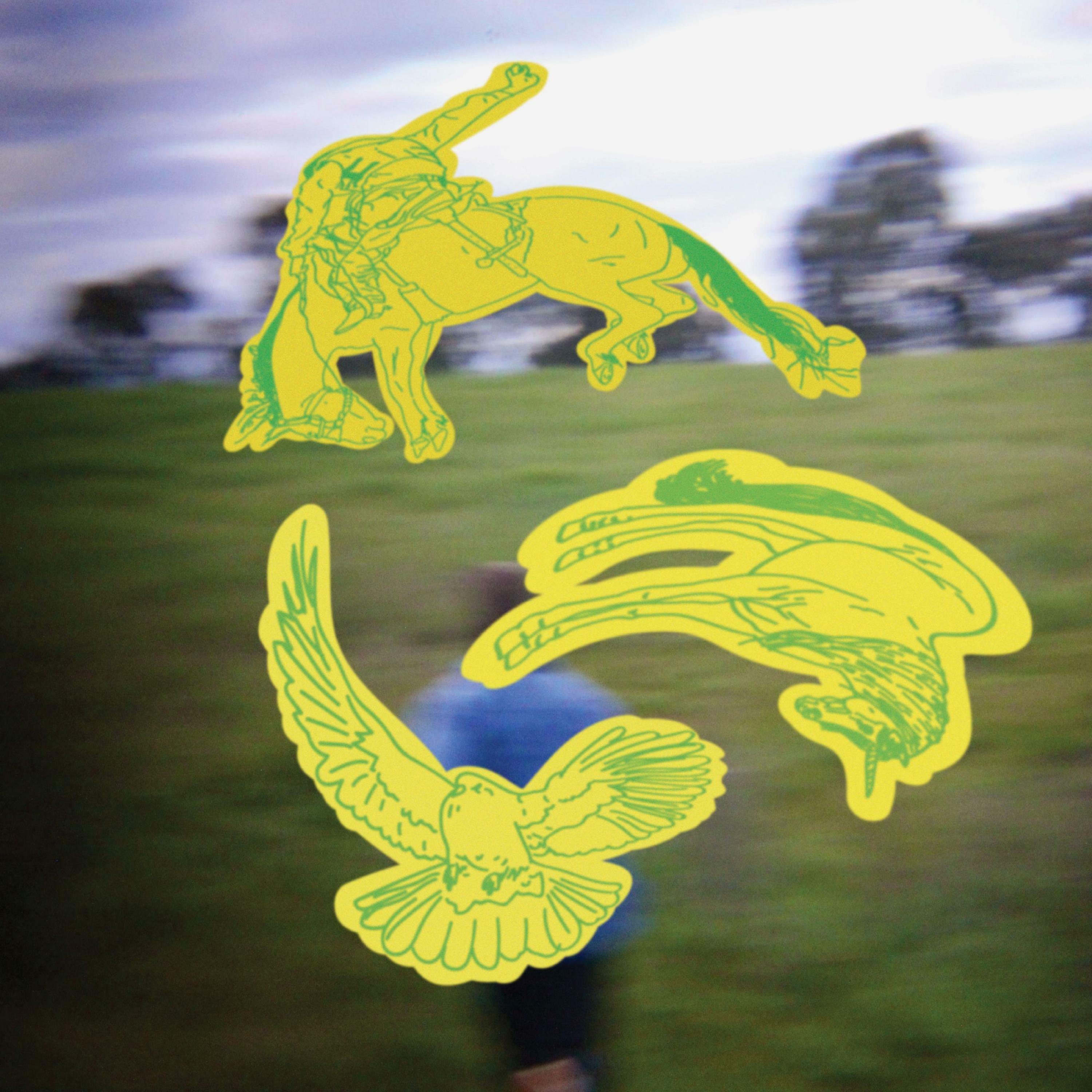 Track Image