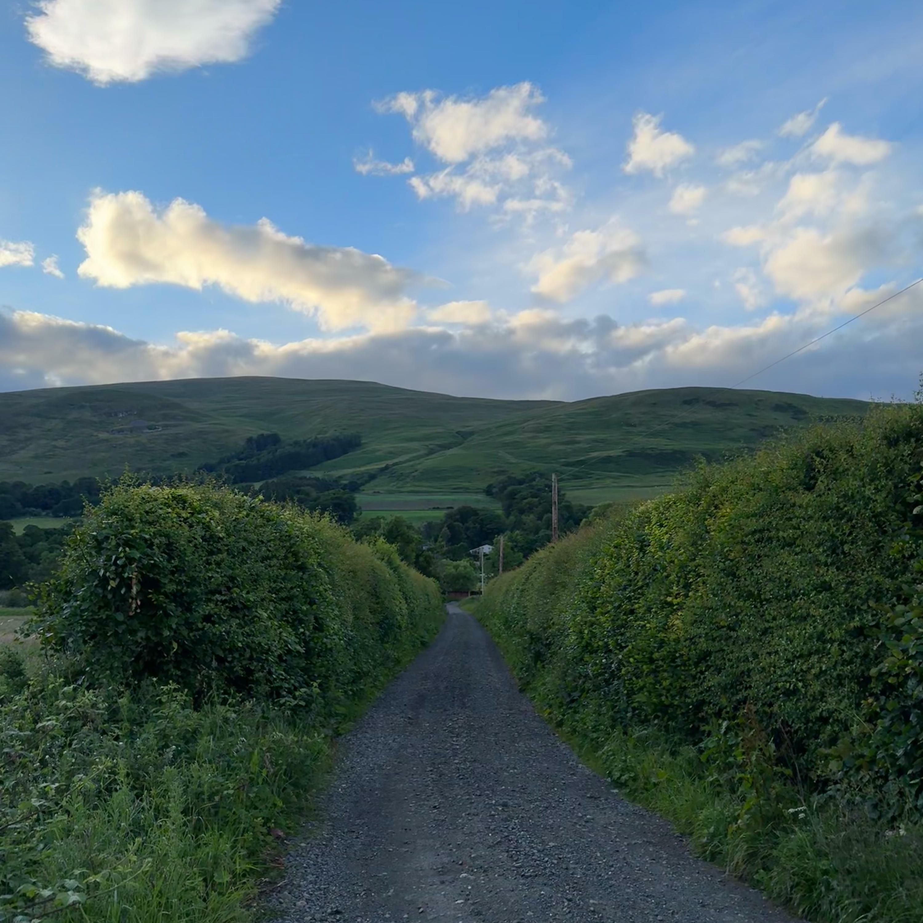 Track Image