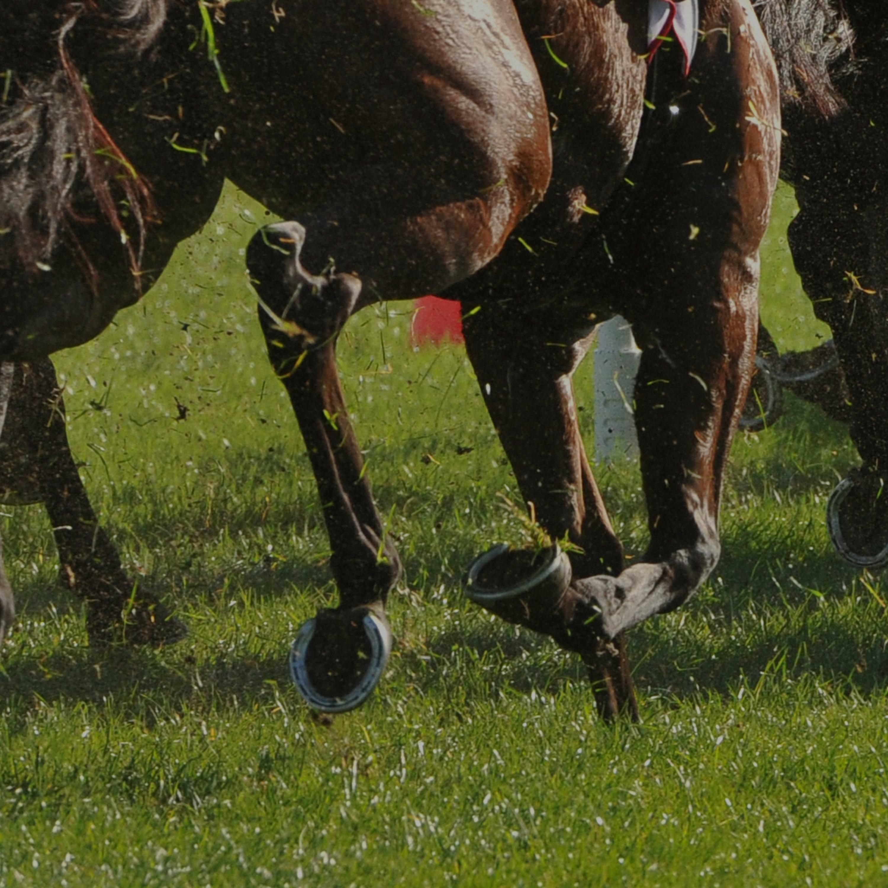 Track Image