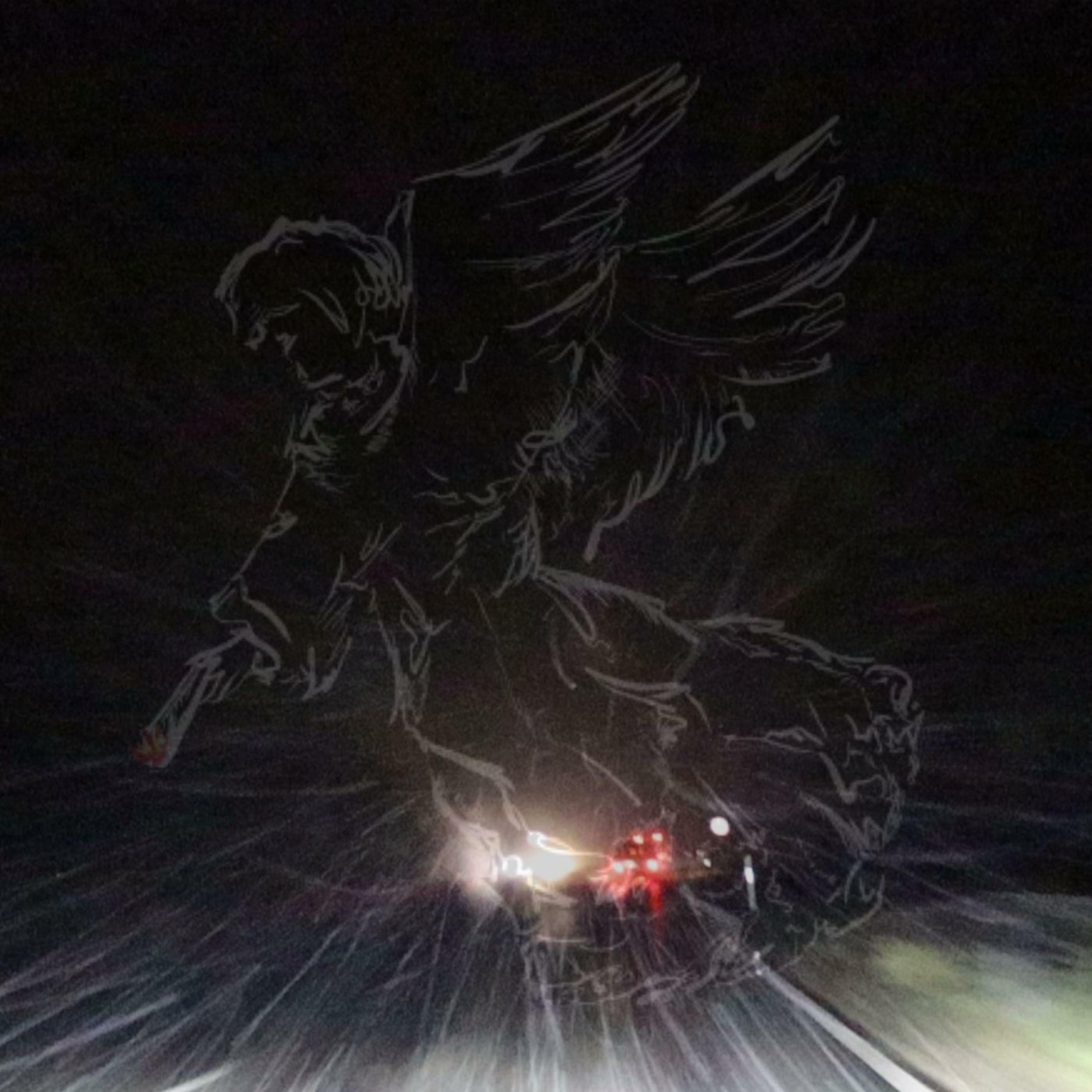 Track Image
