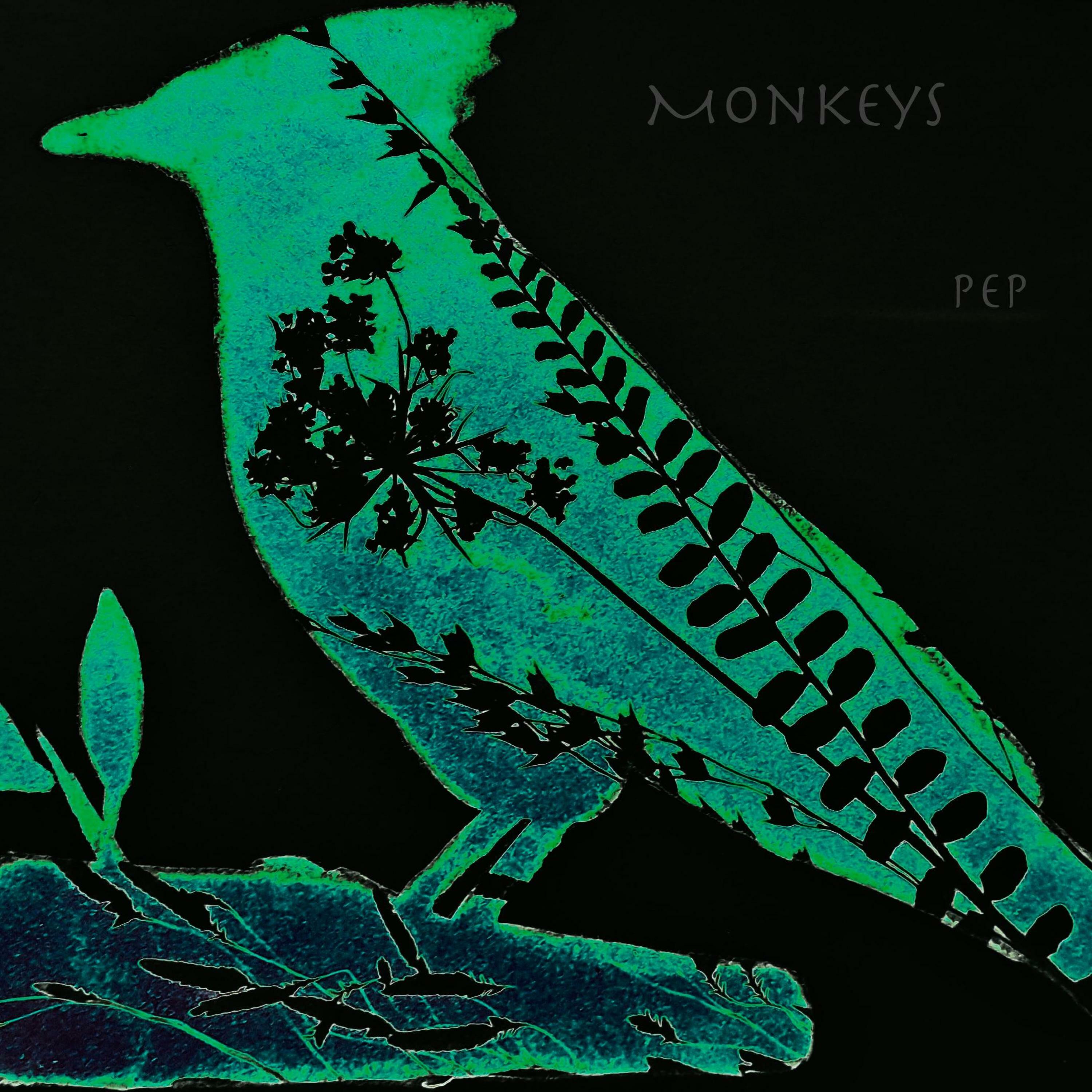 Track Image