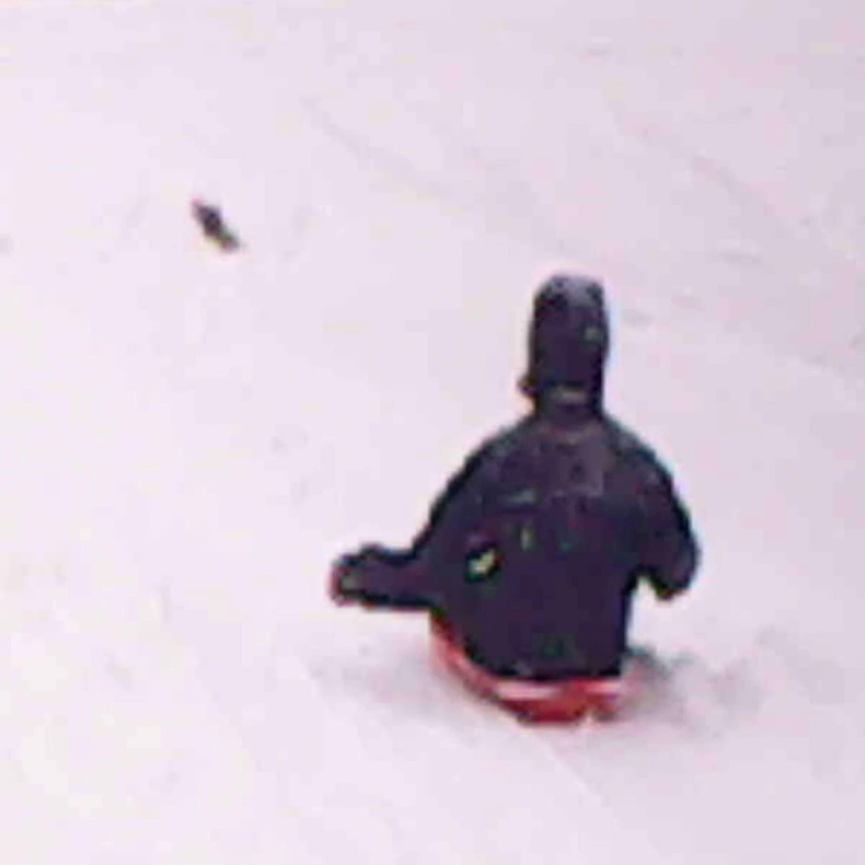 Track Image