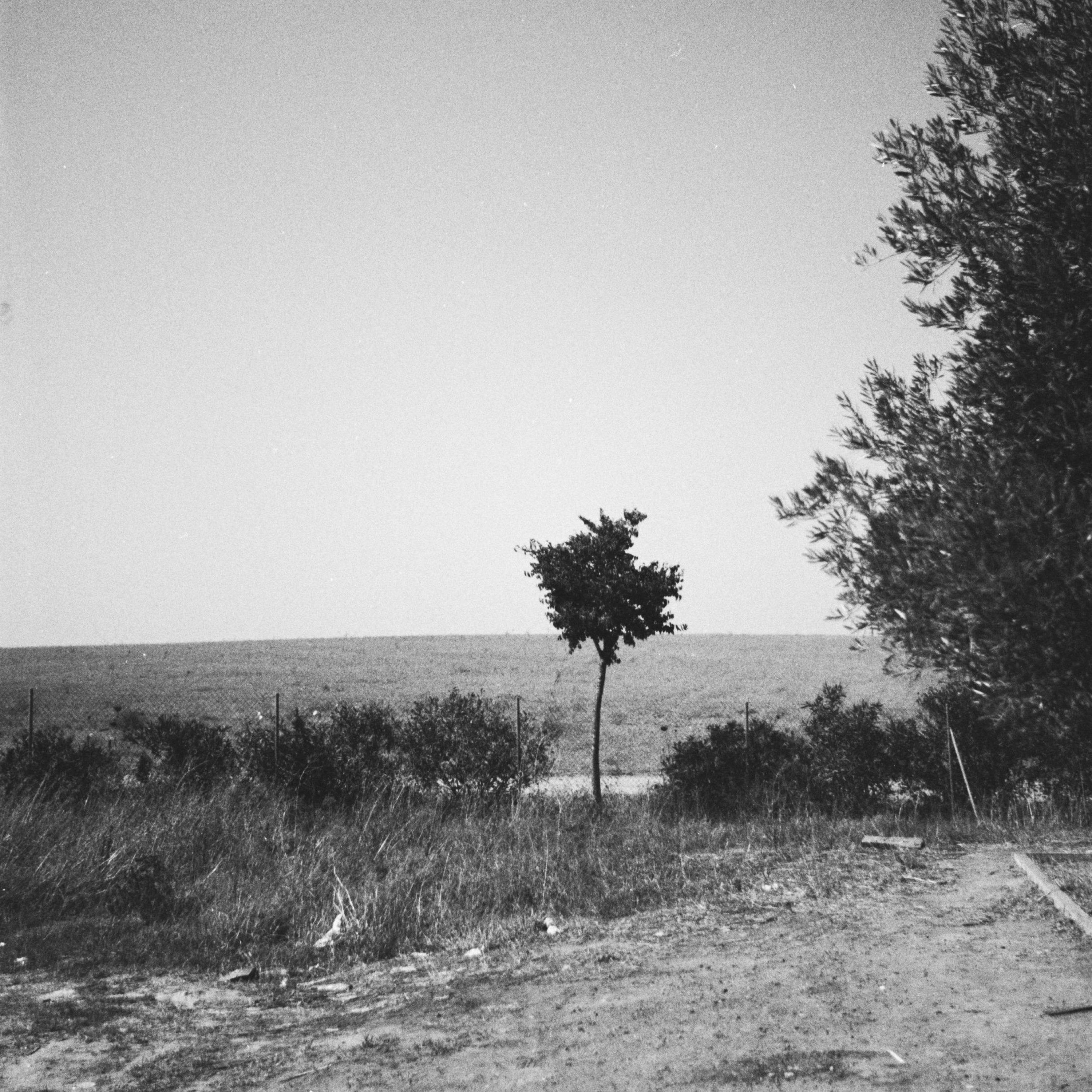 Track Image