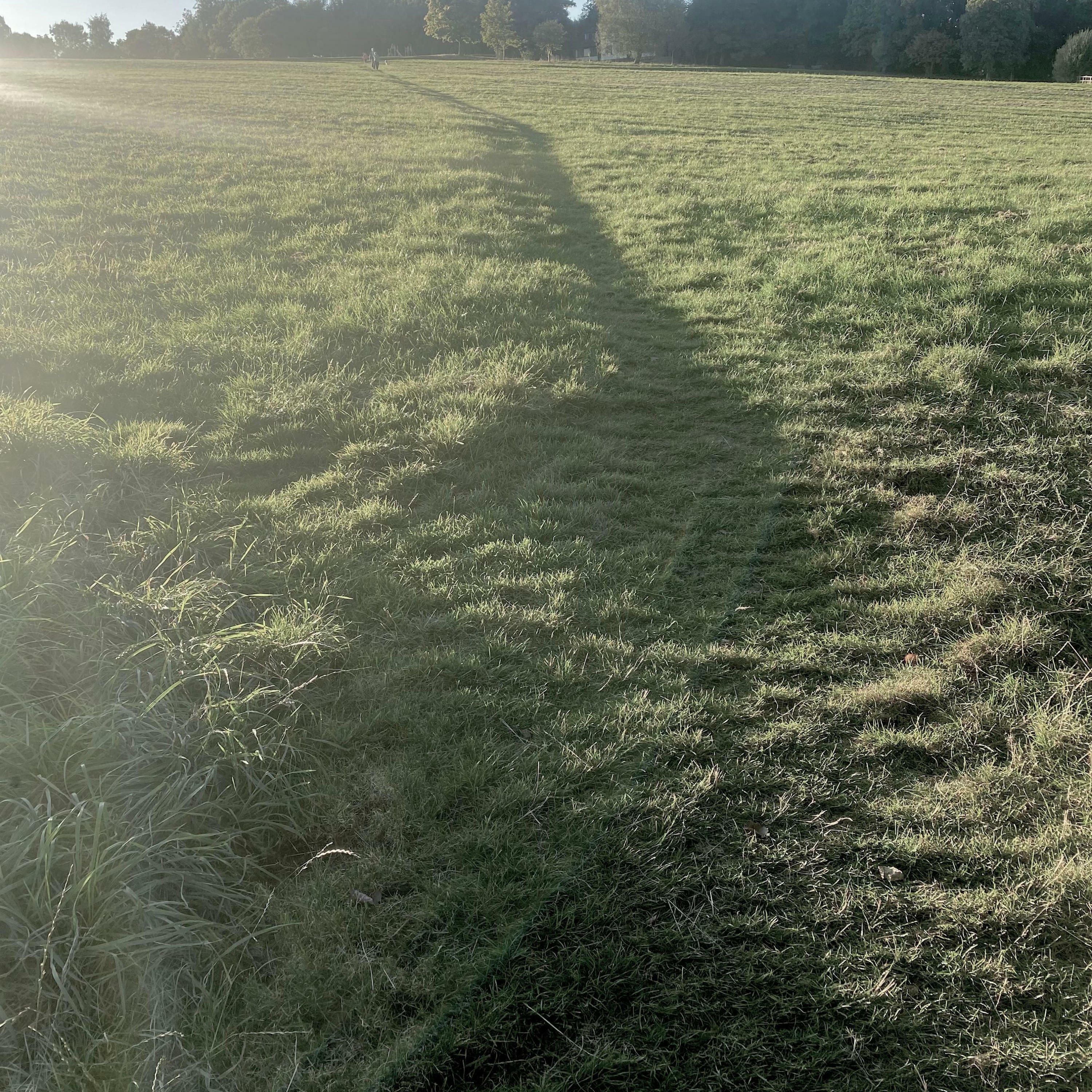 Track Image