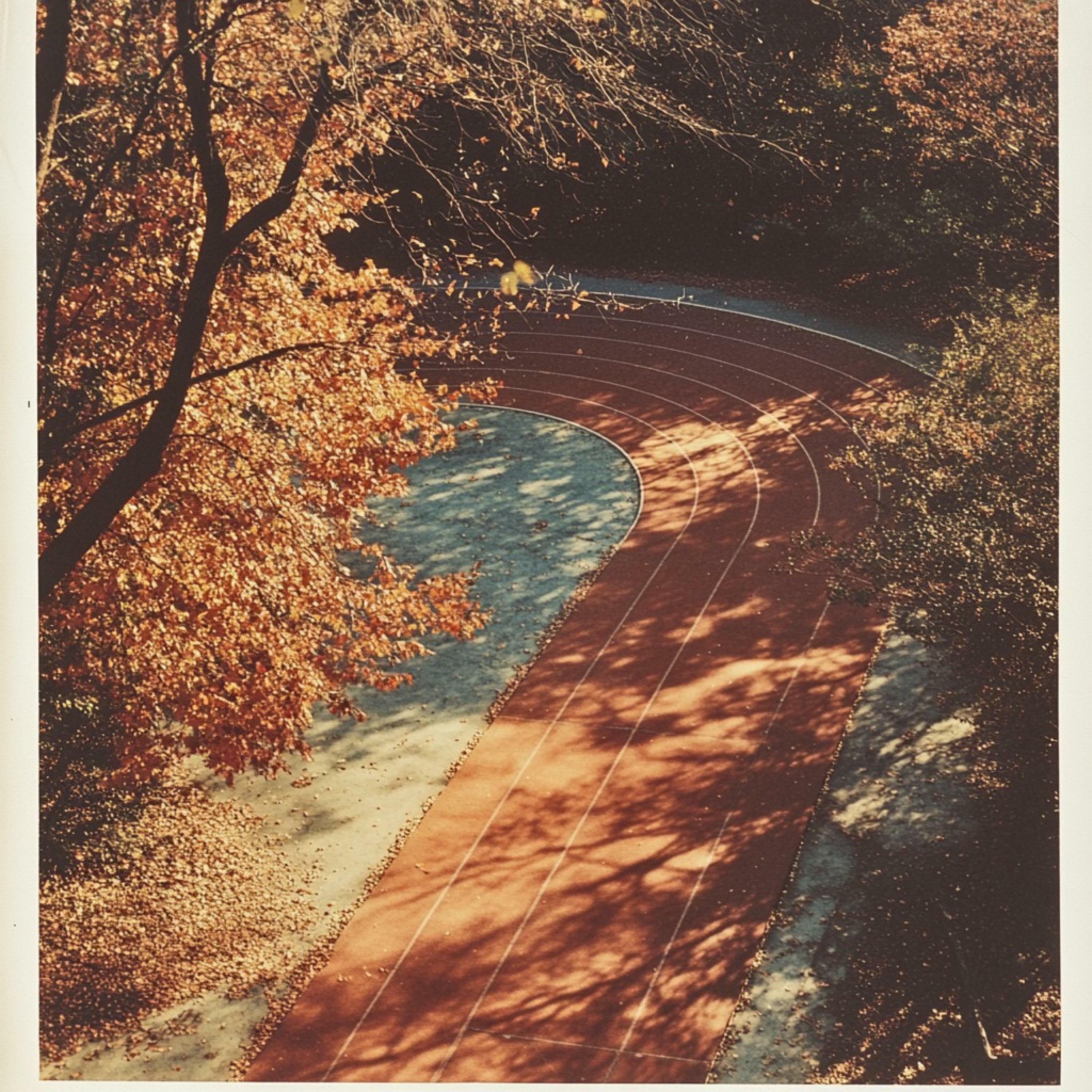 Track Image