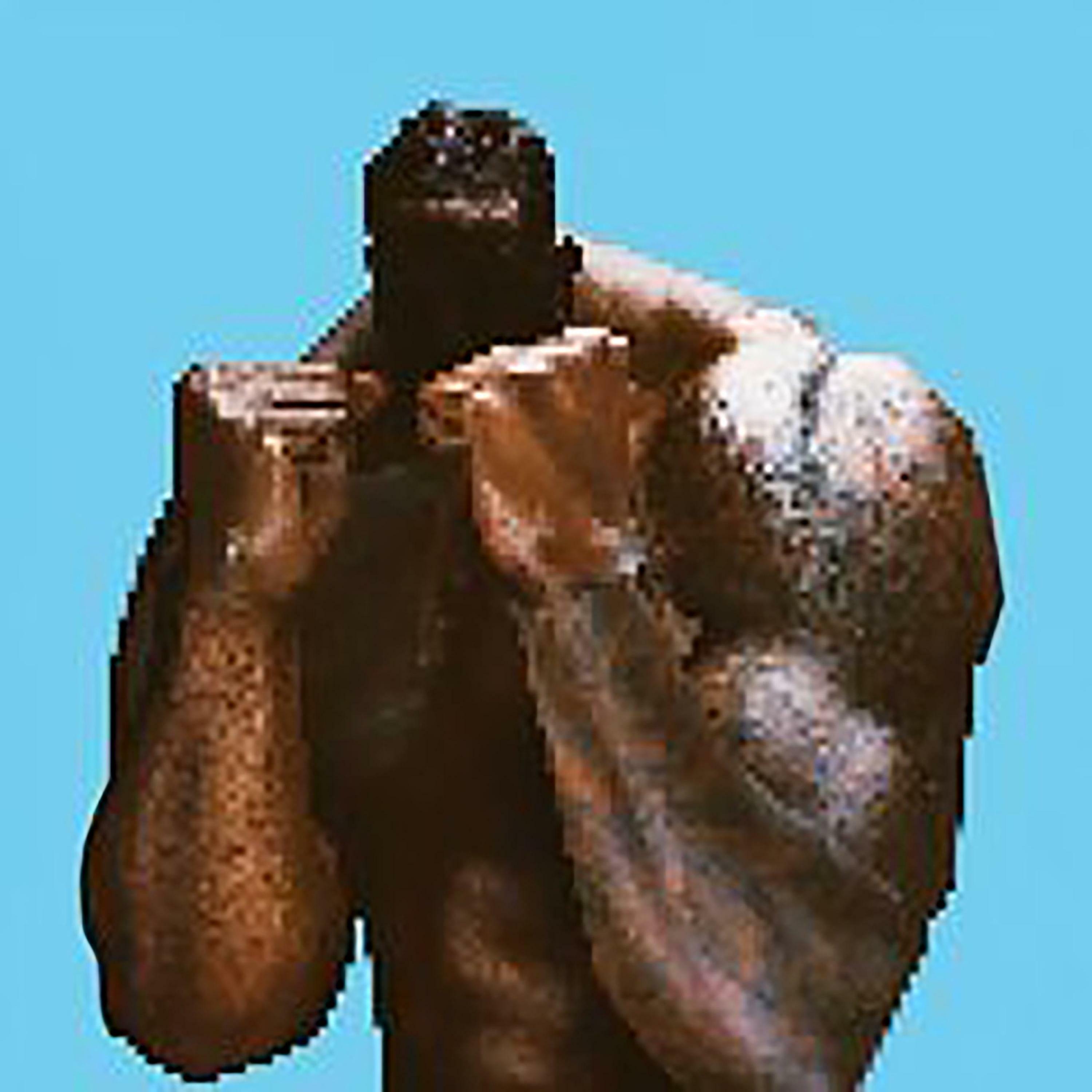 Track Image