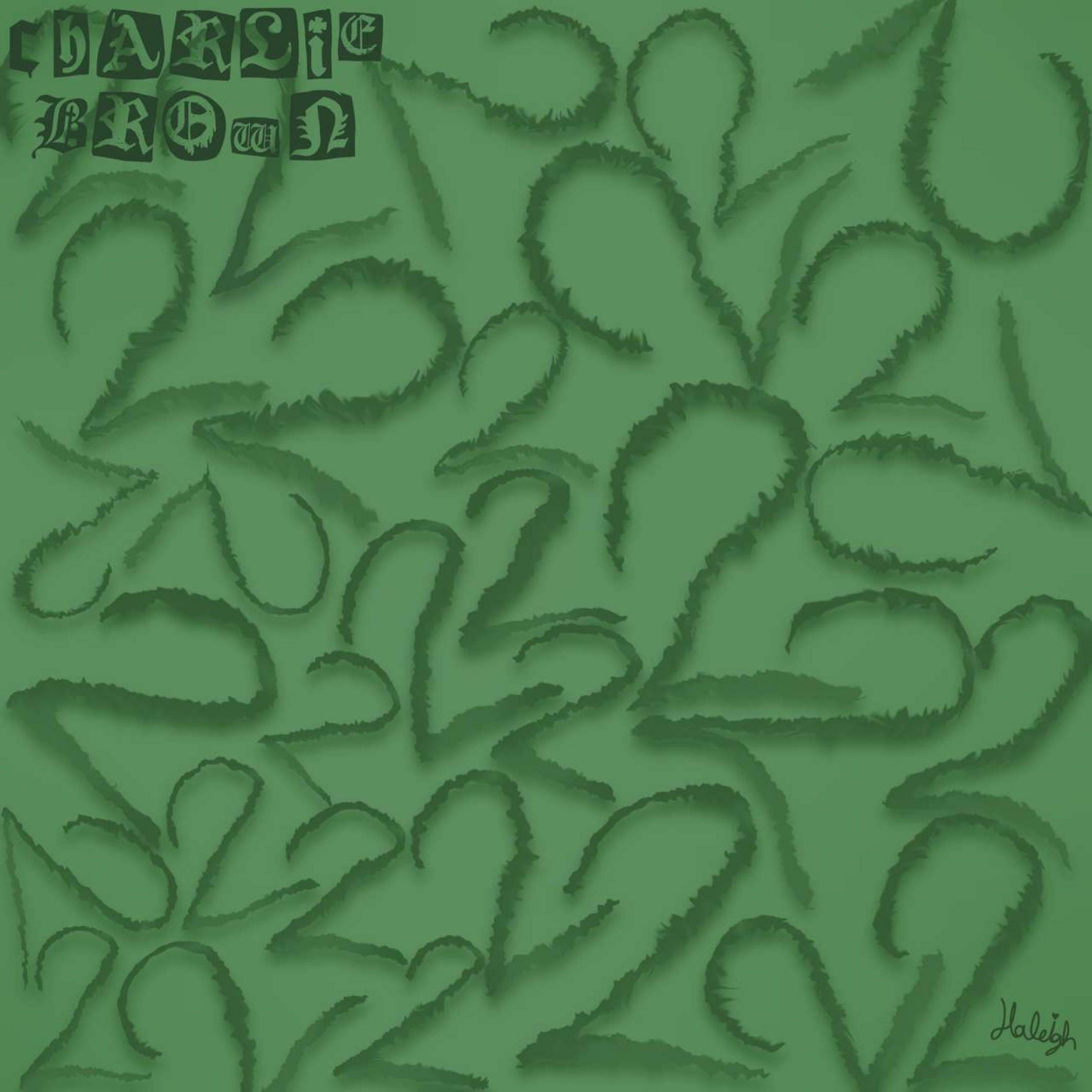 Track Image