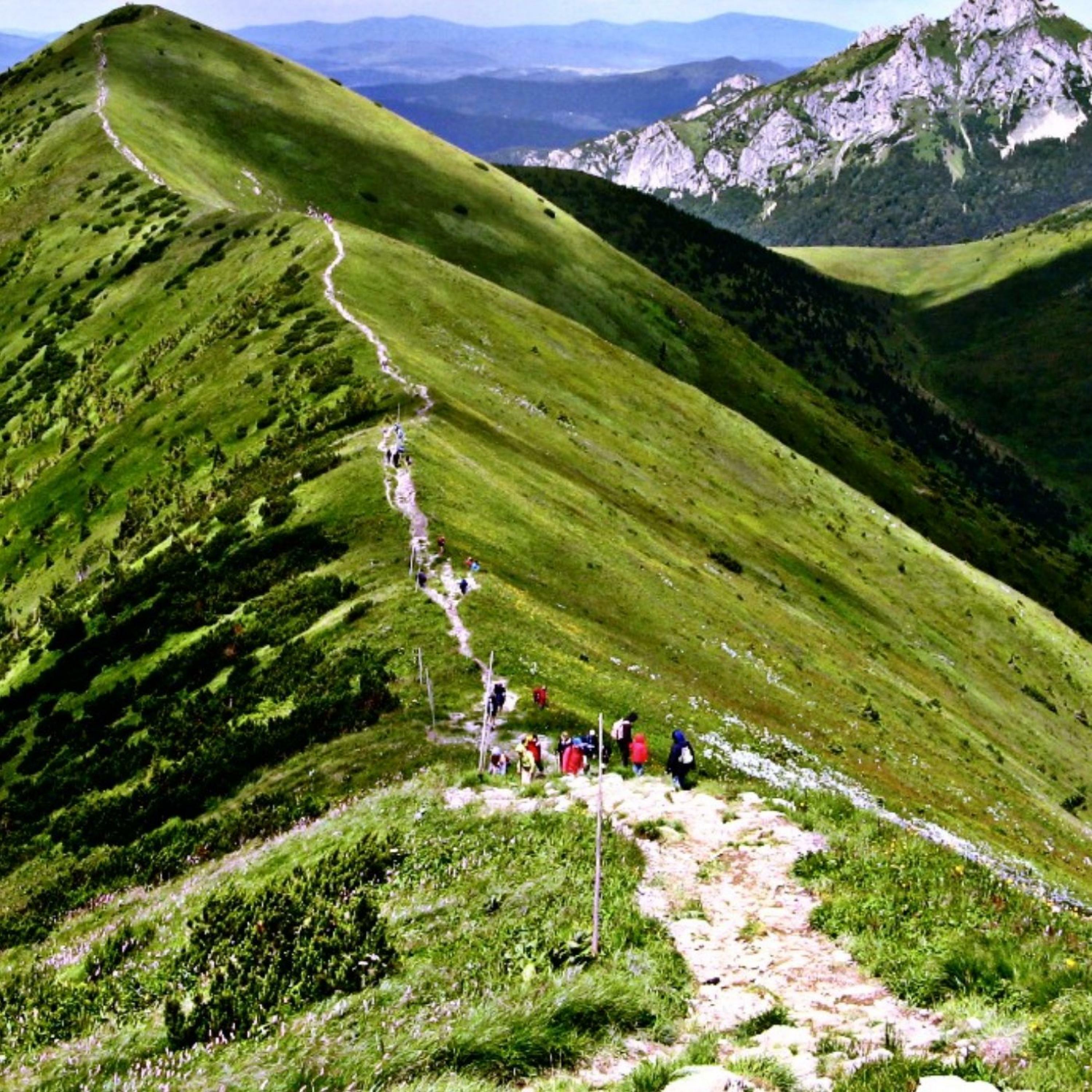 Track Image