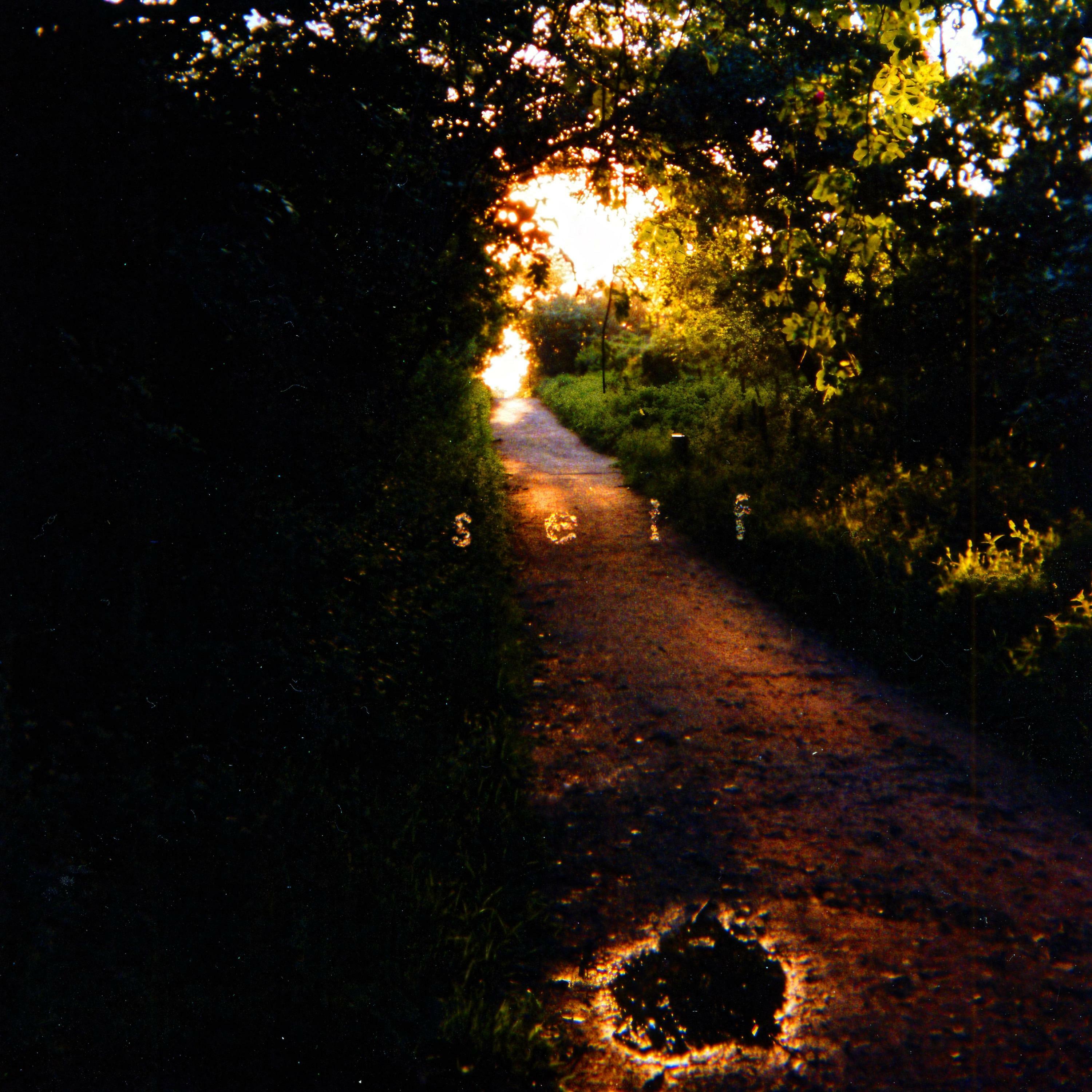 Track Image