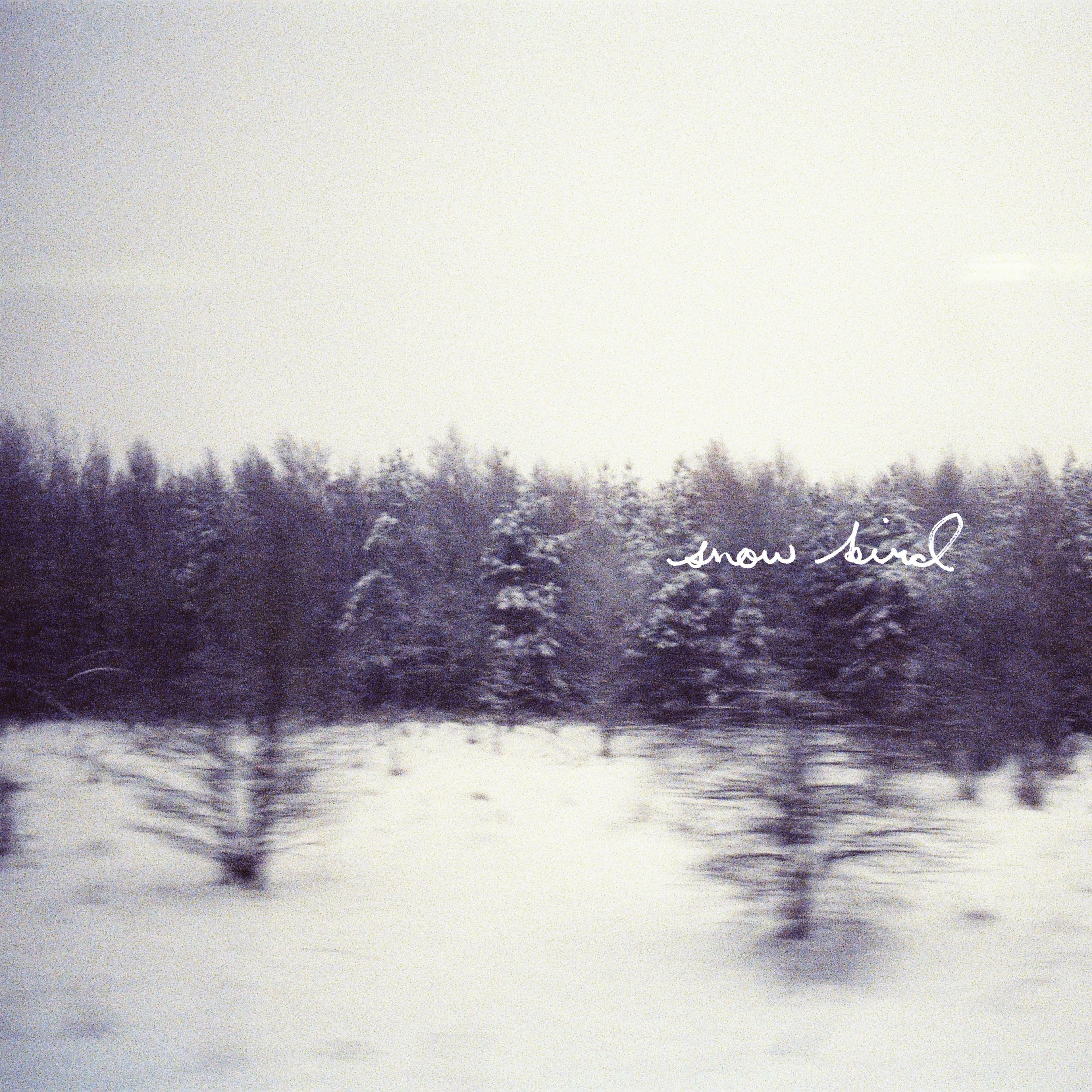 Track Image