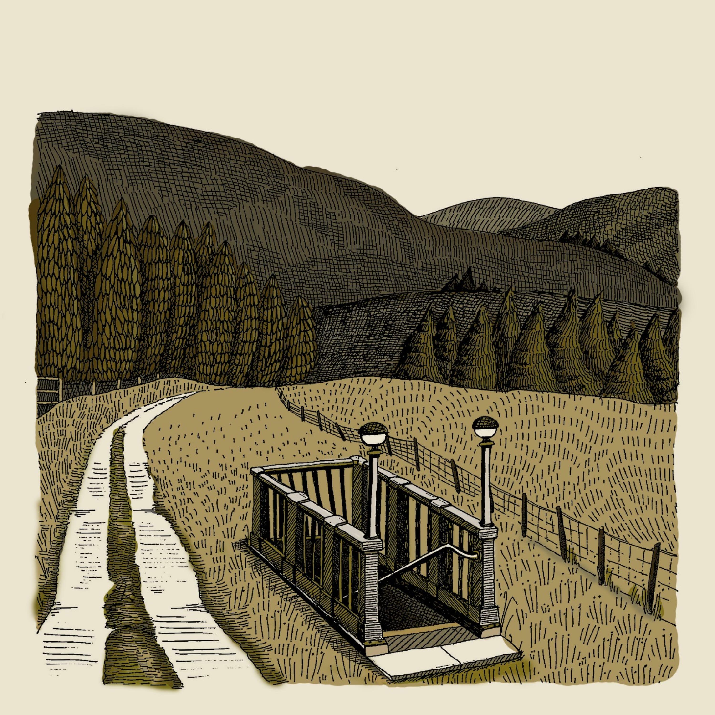Track Image
