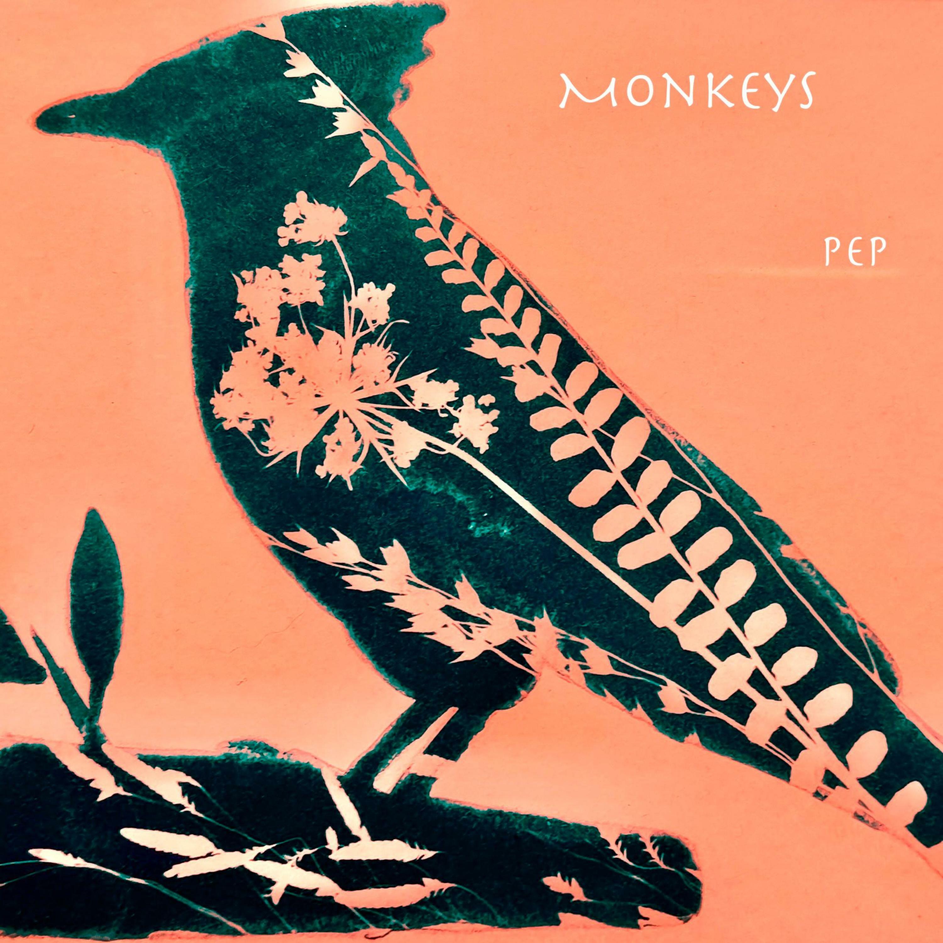 Track Image