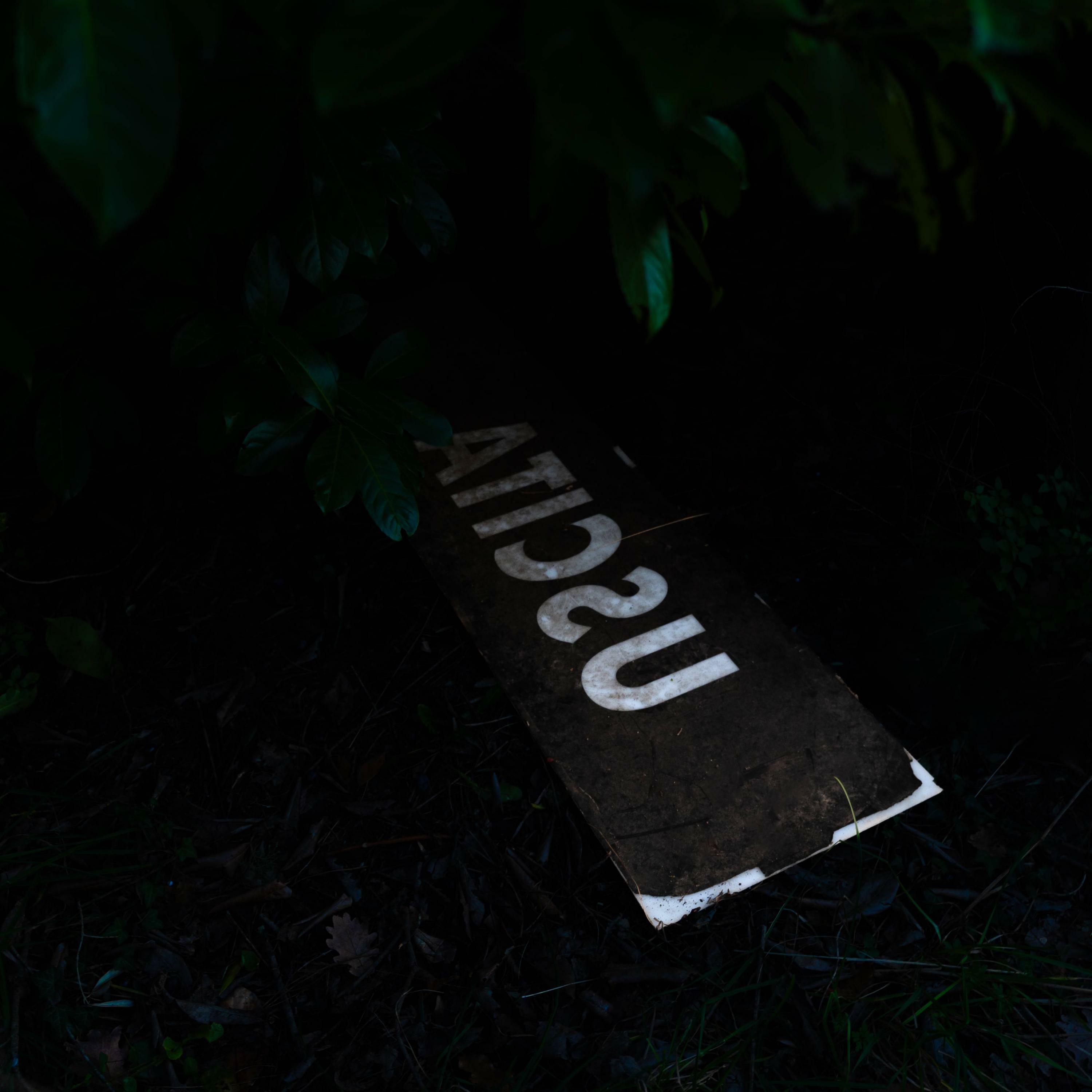 Track Image