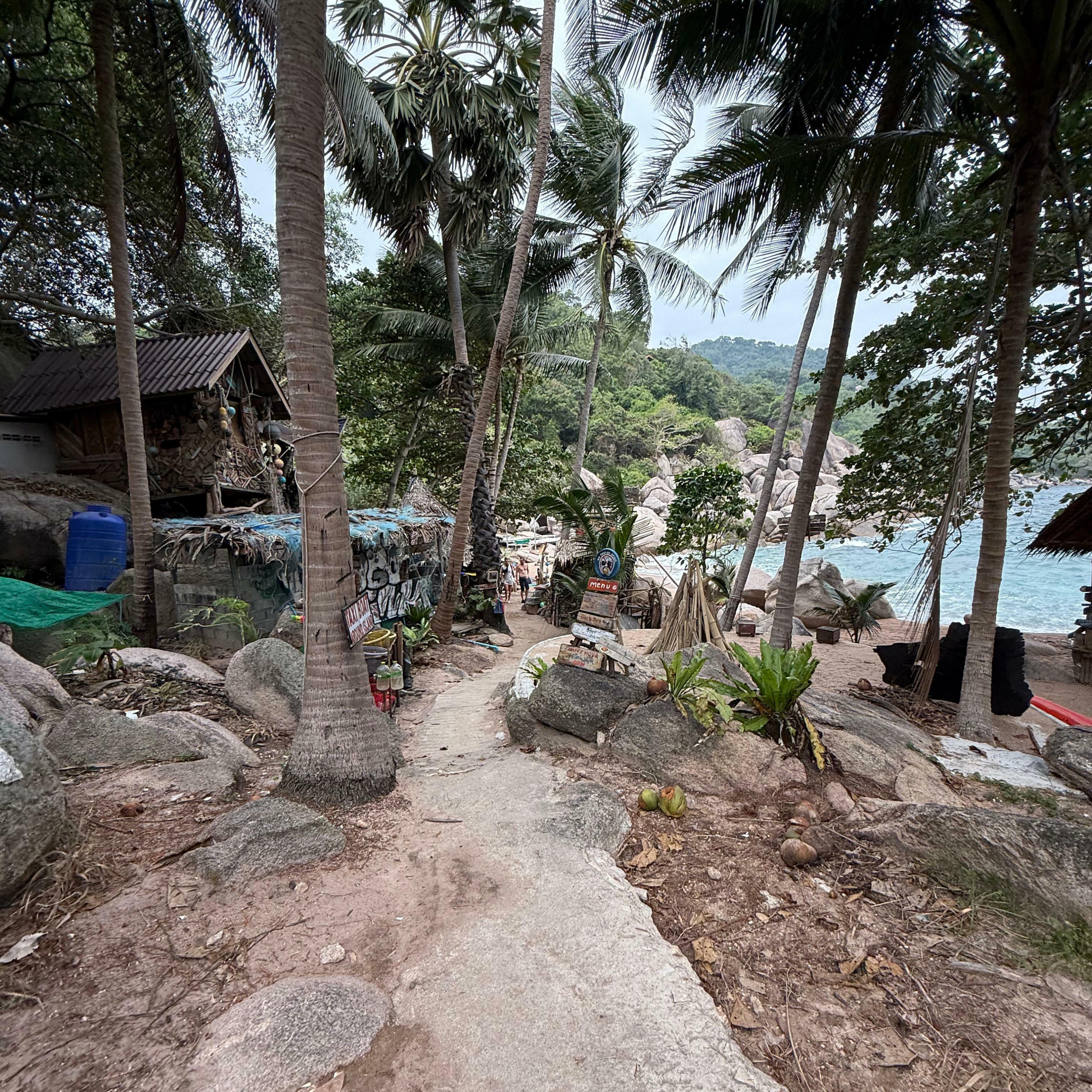 Track Image
