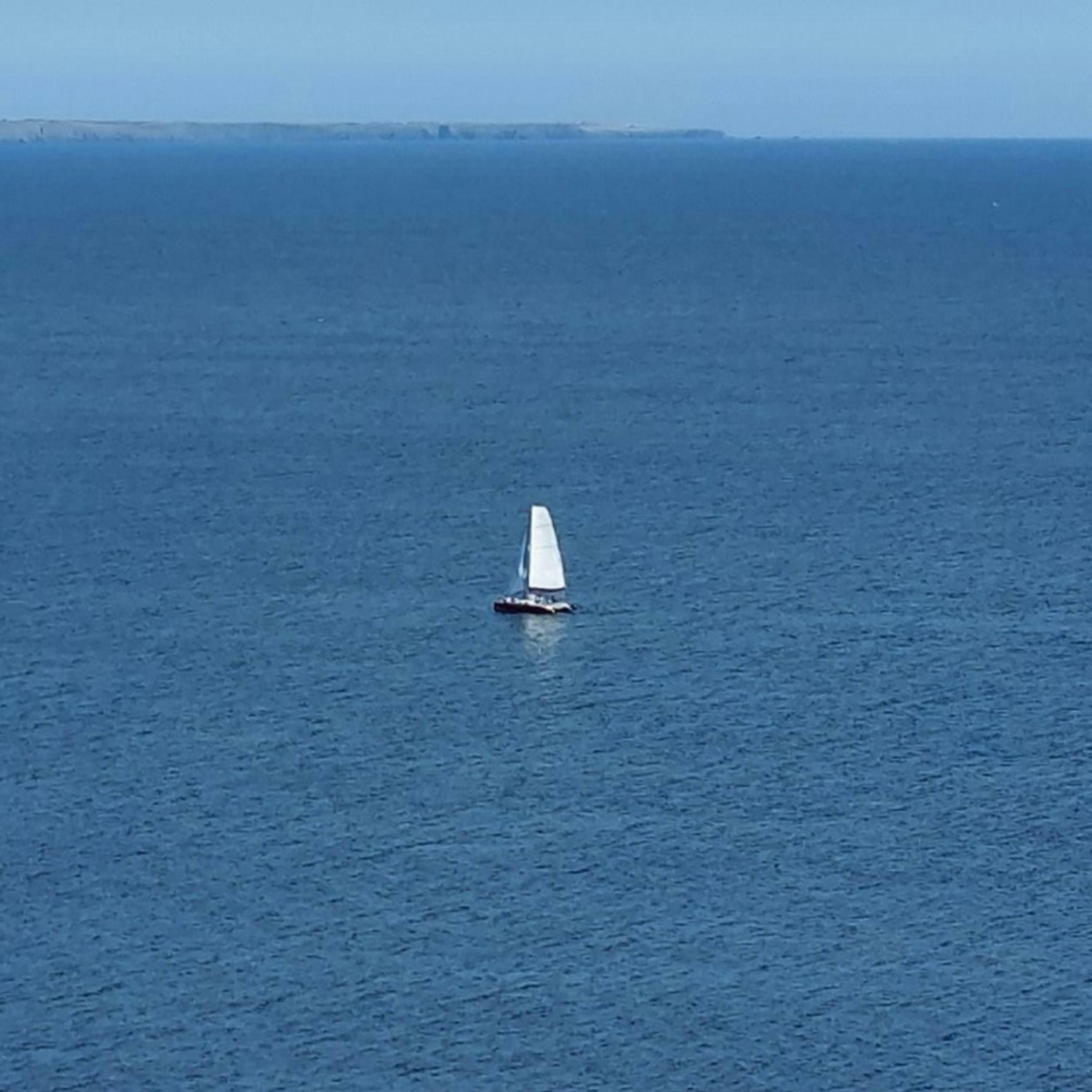 Track Image