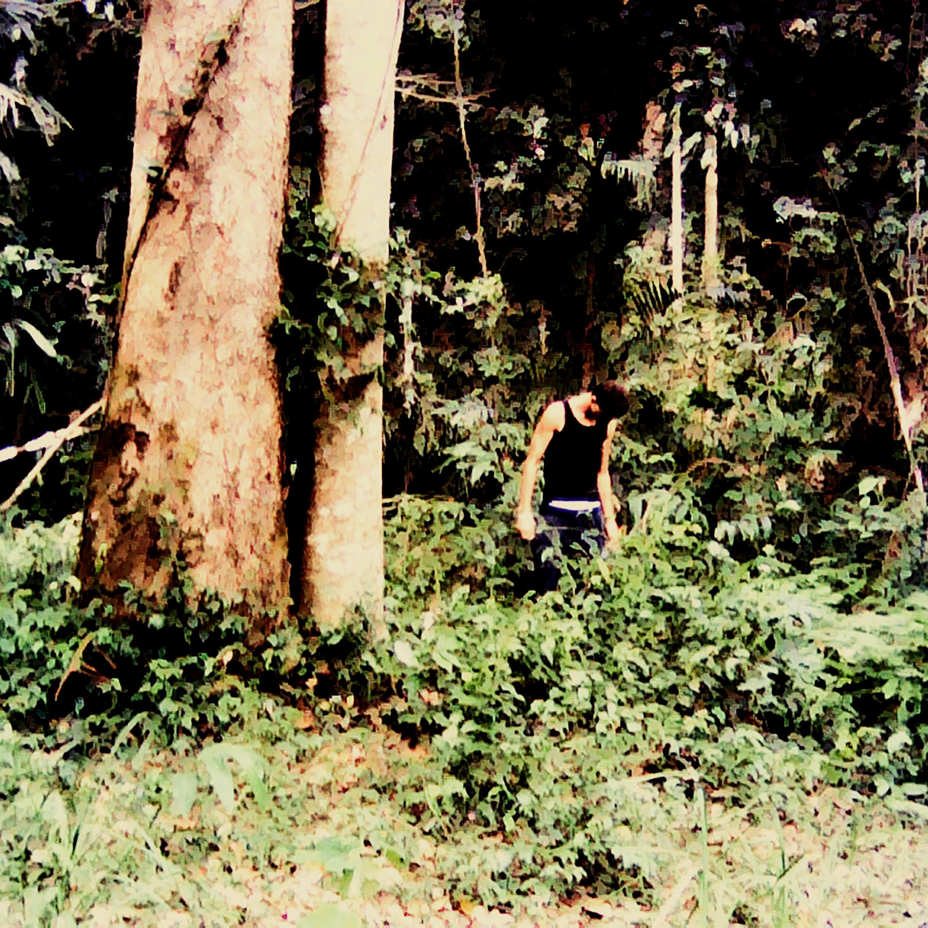 Track Image