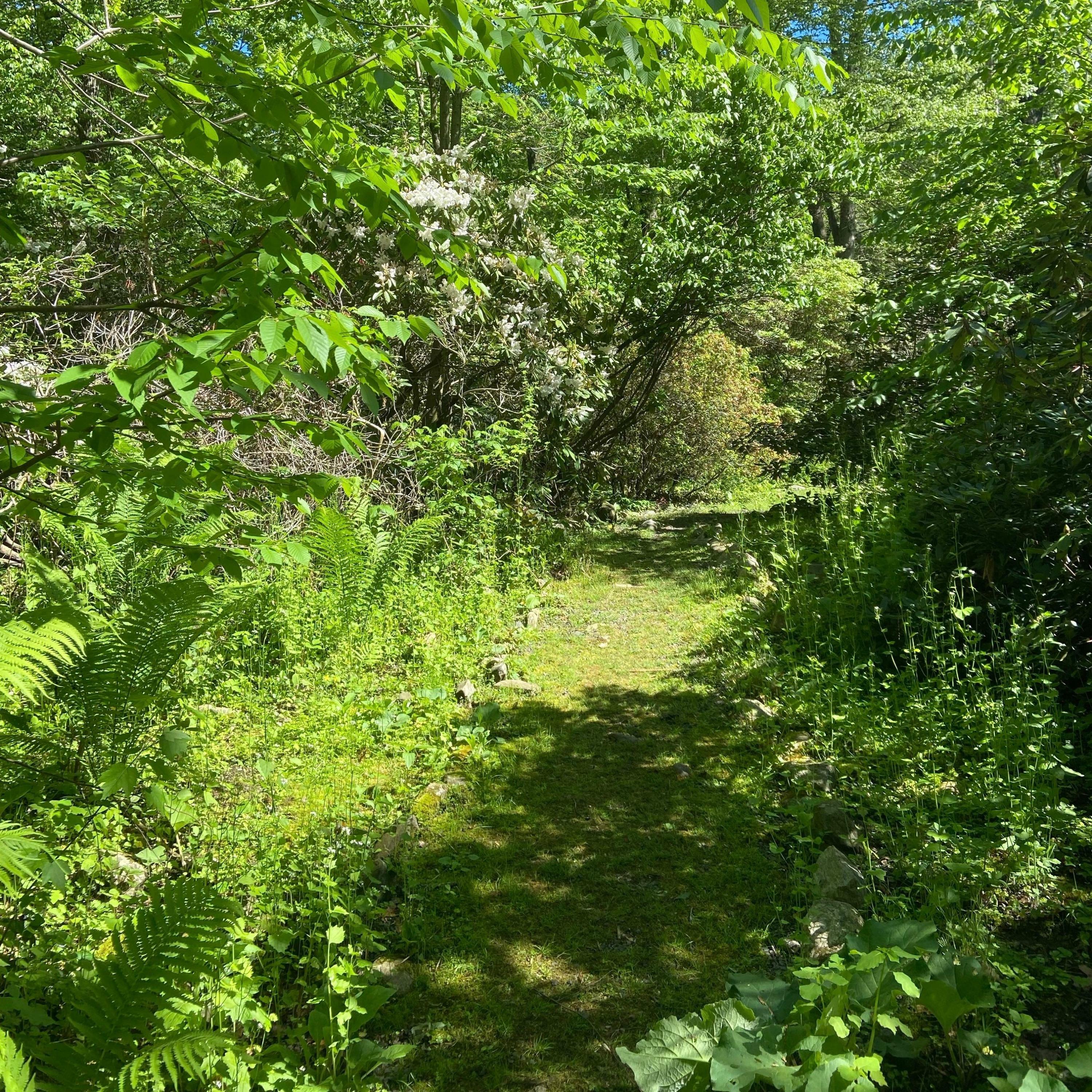Track Image