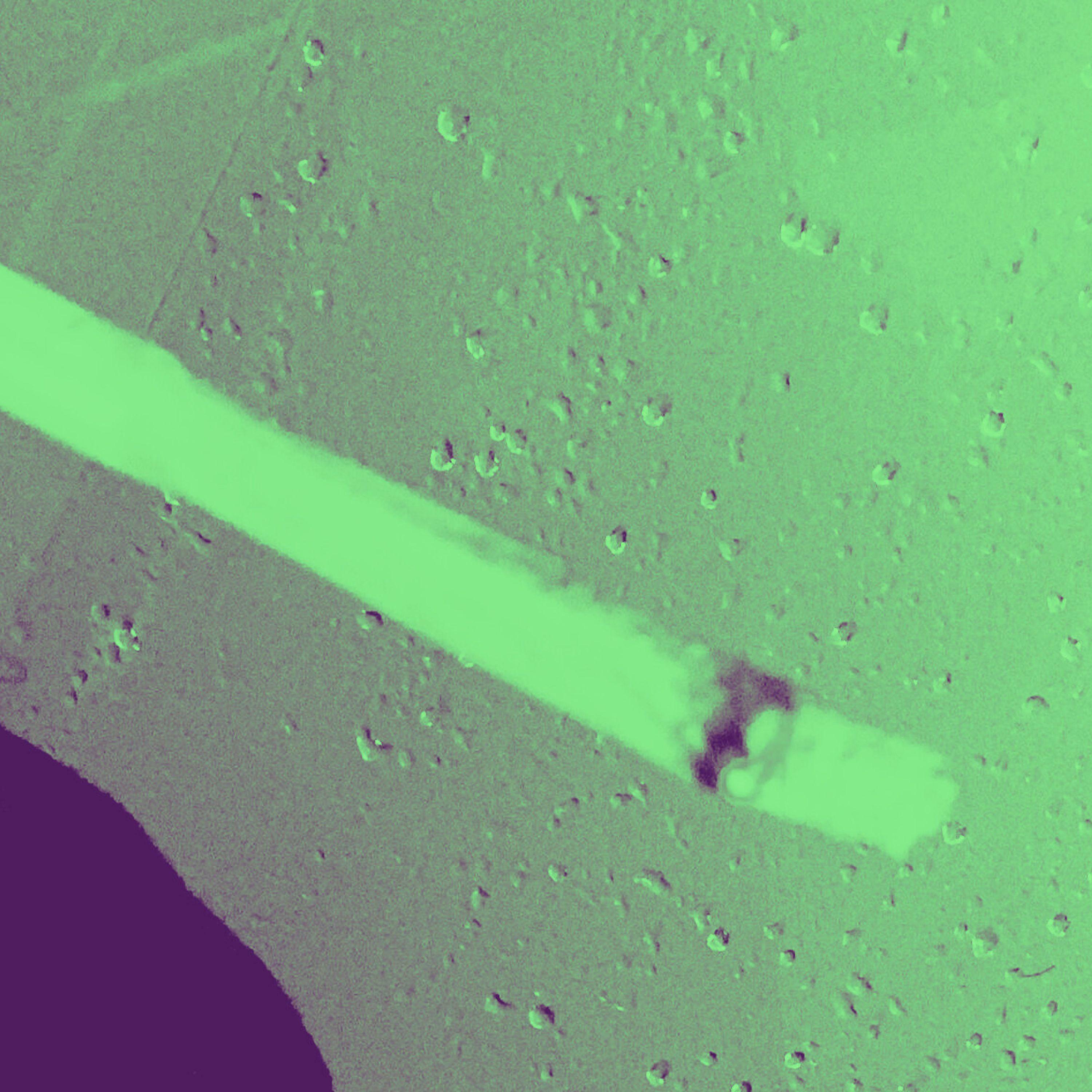 Track Image