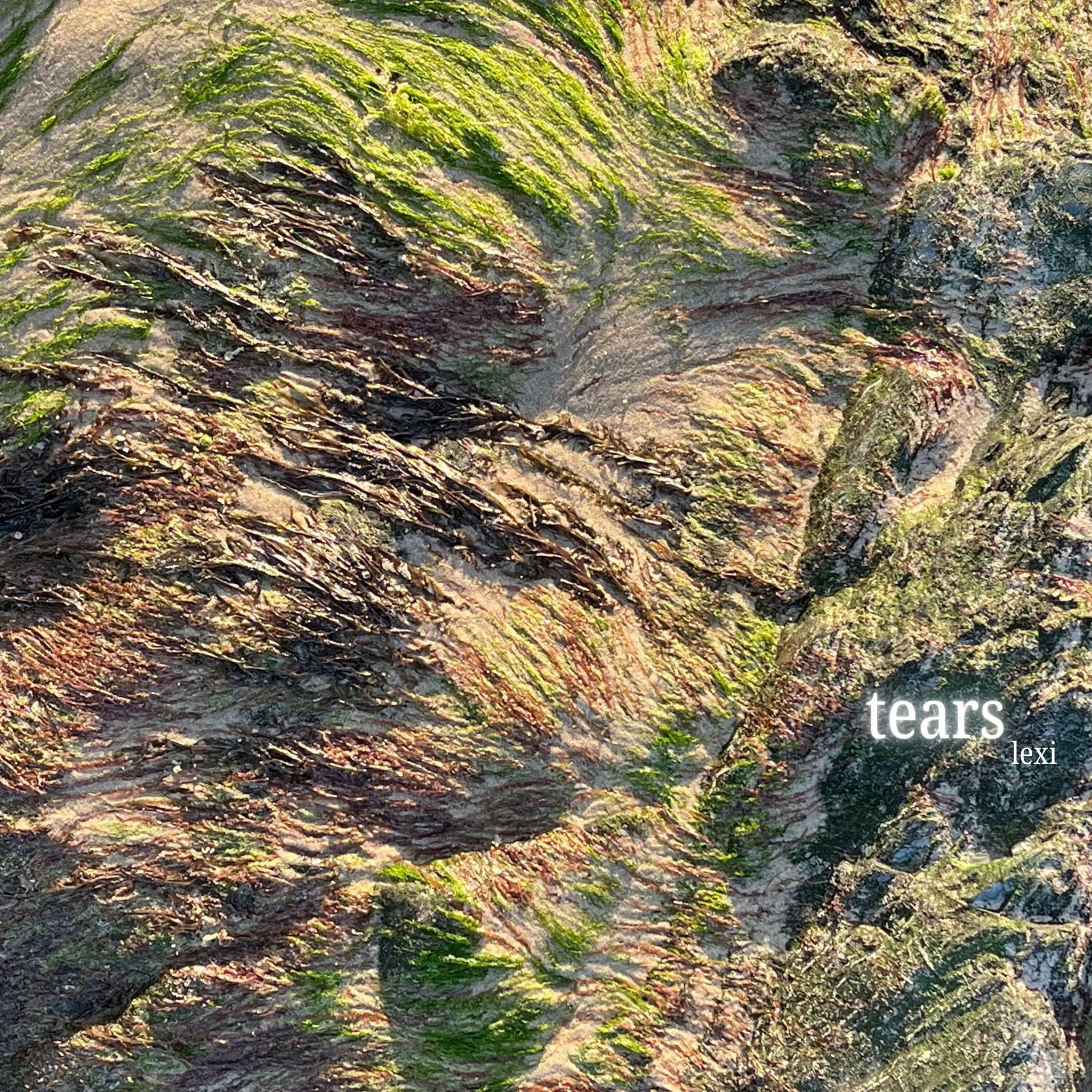 Track Image