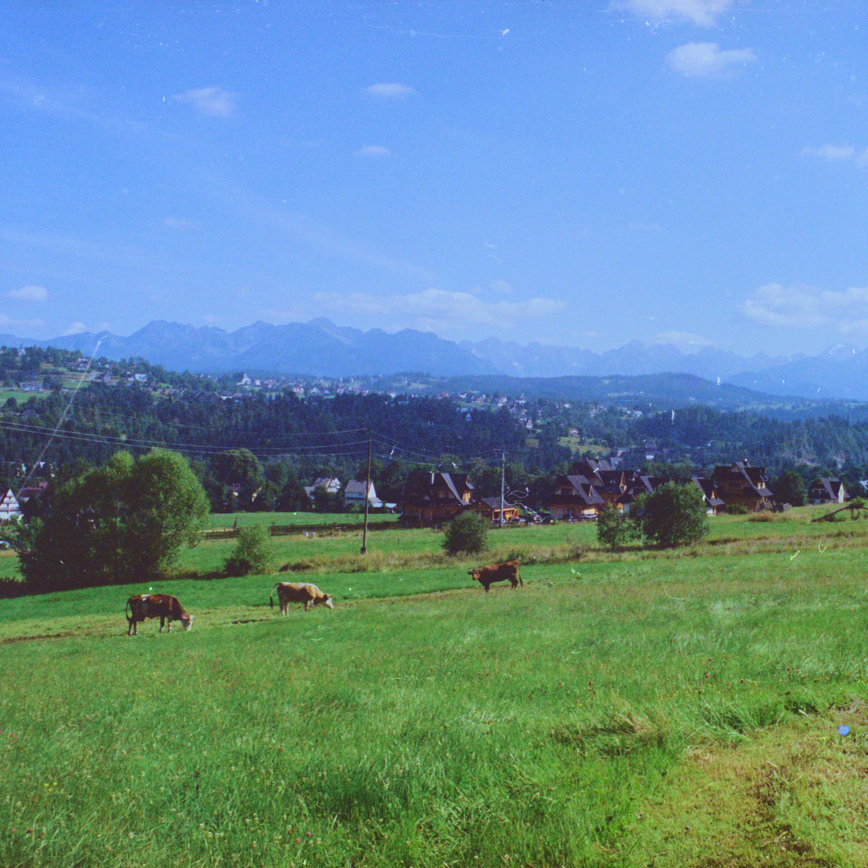 Track Image