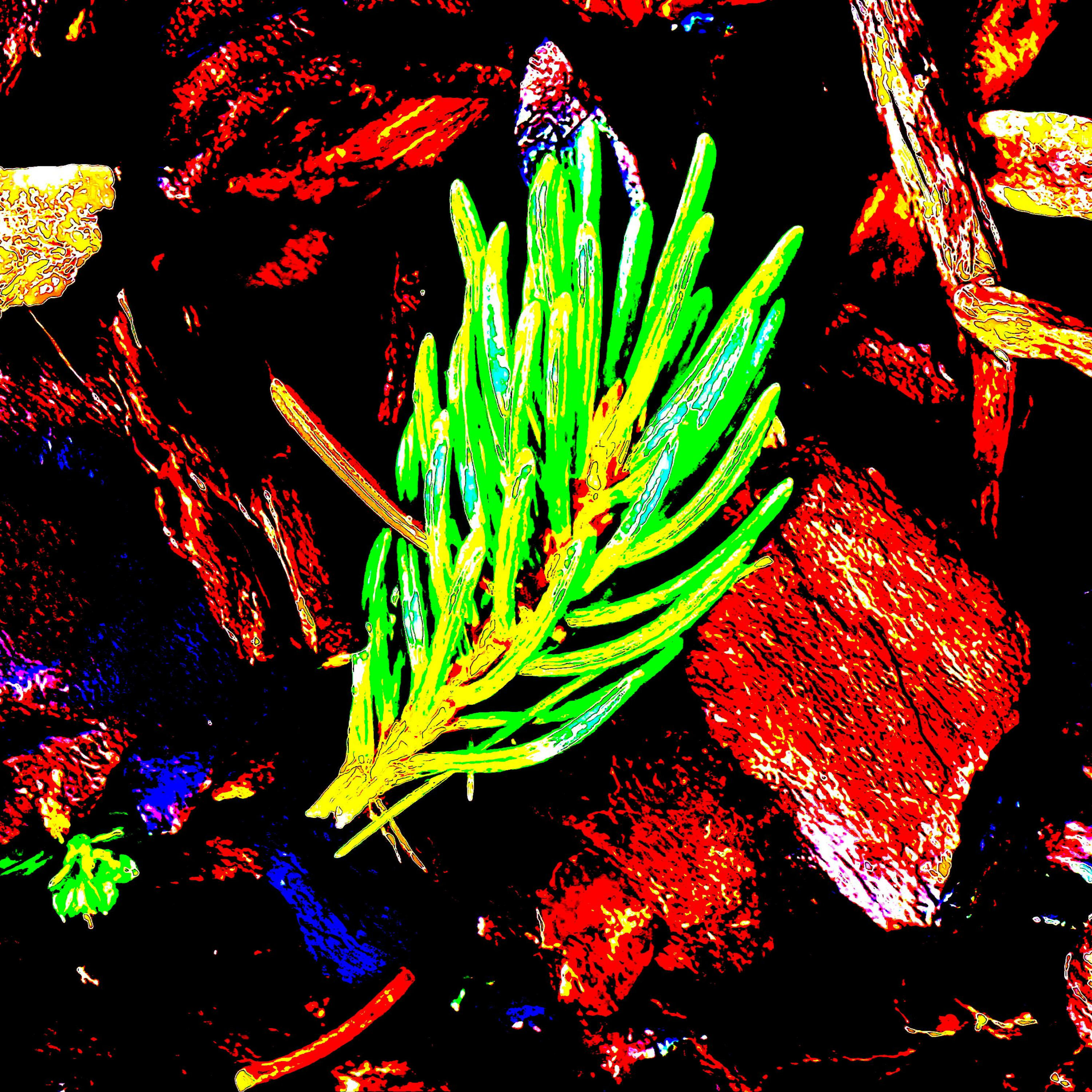 Track Image