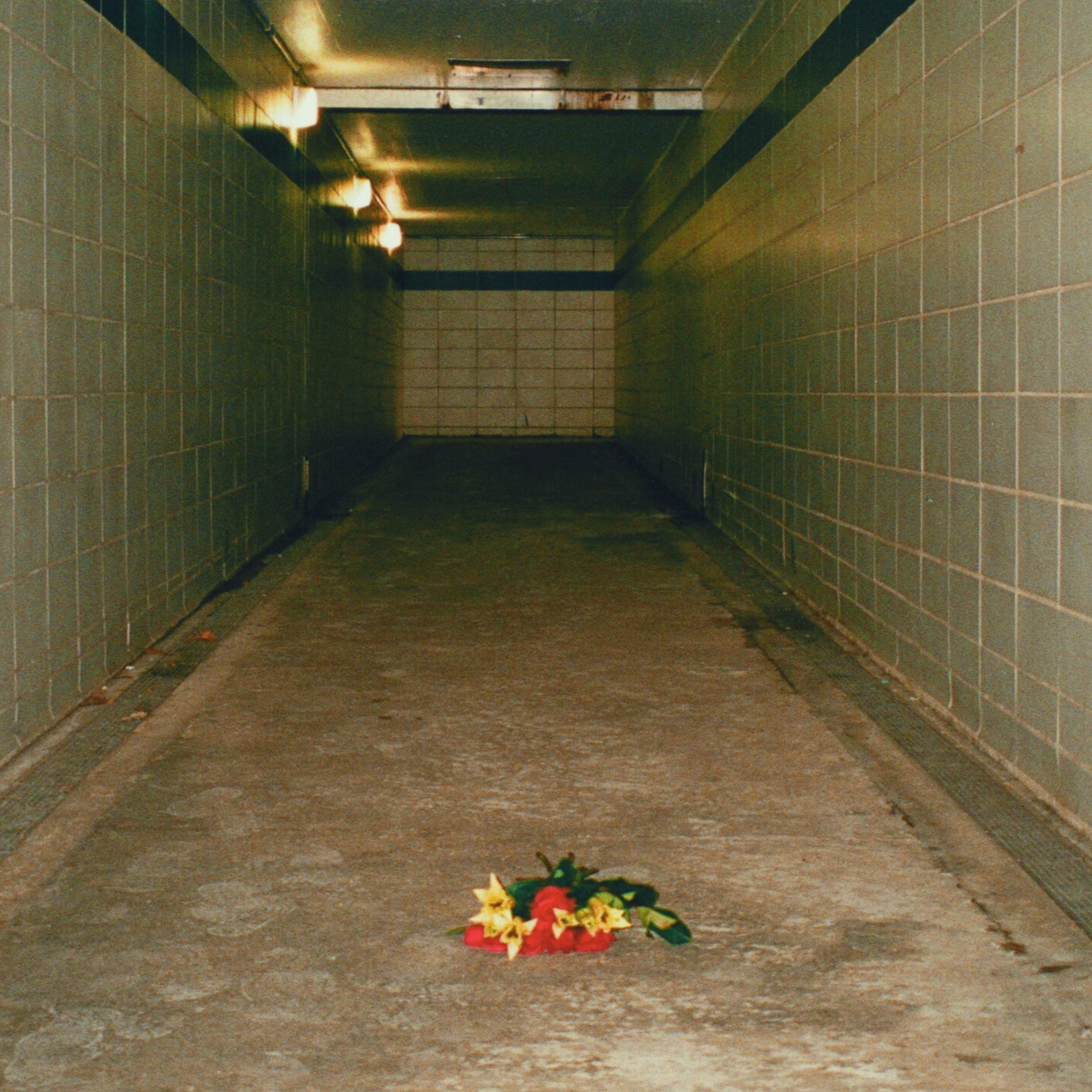 Track Image