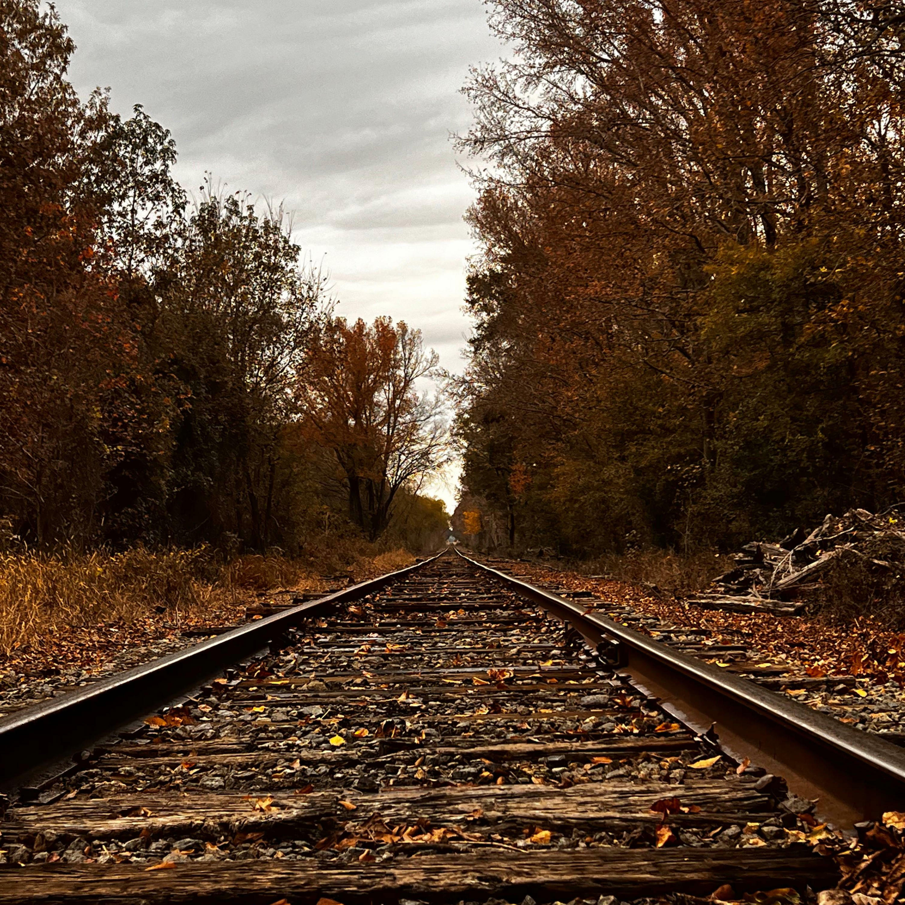 Track Image