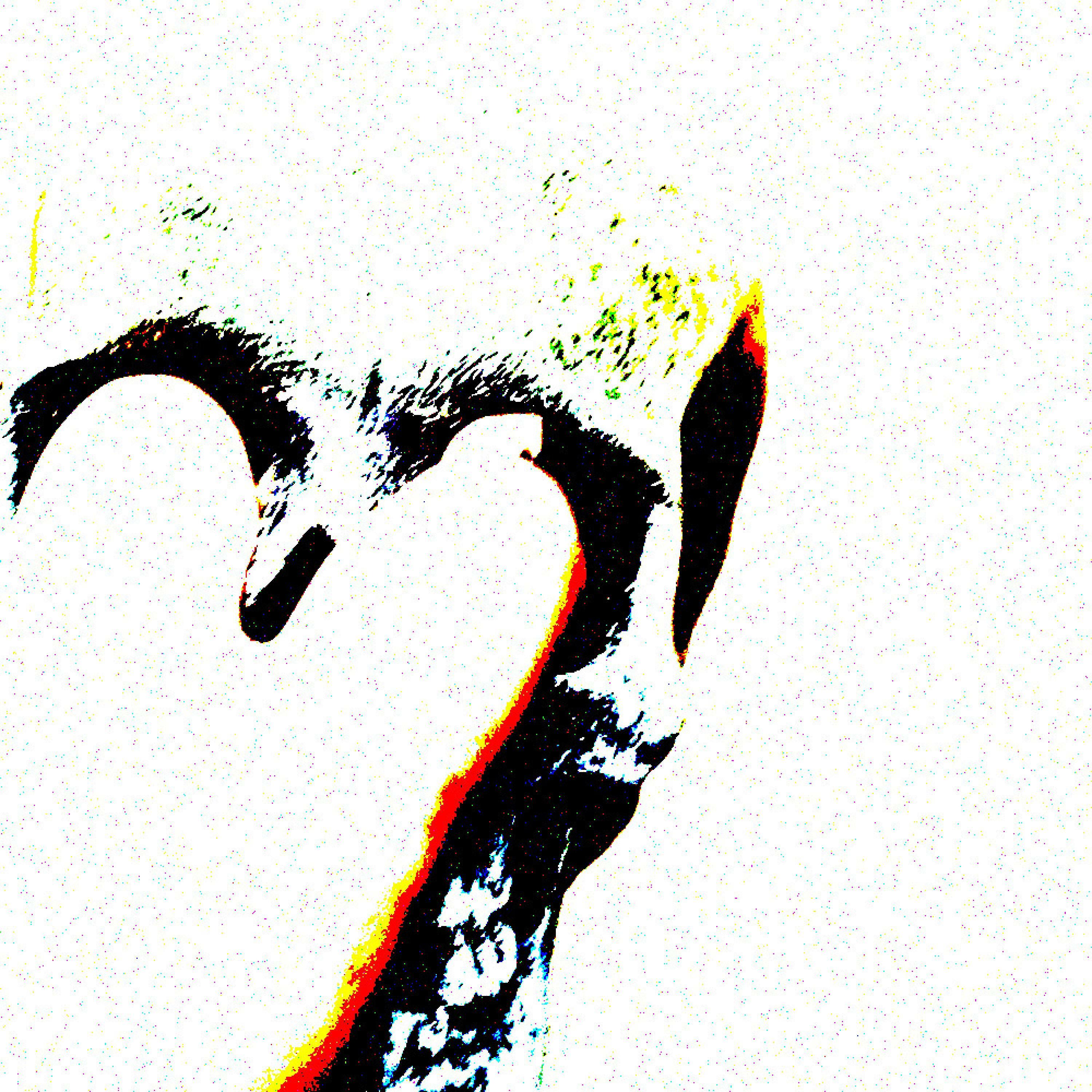 Track Image