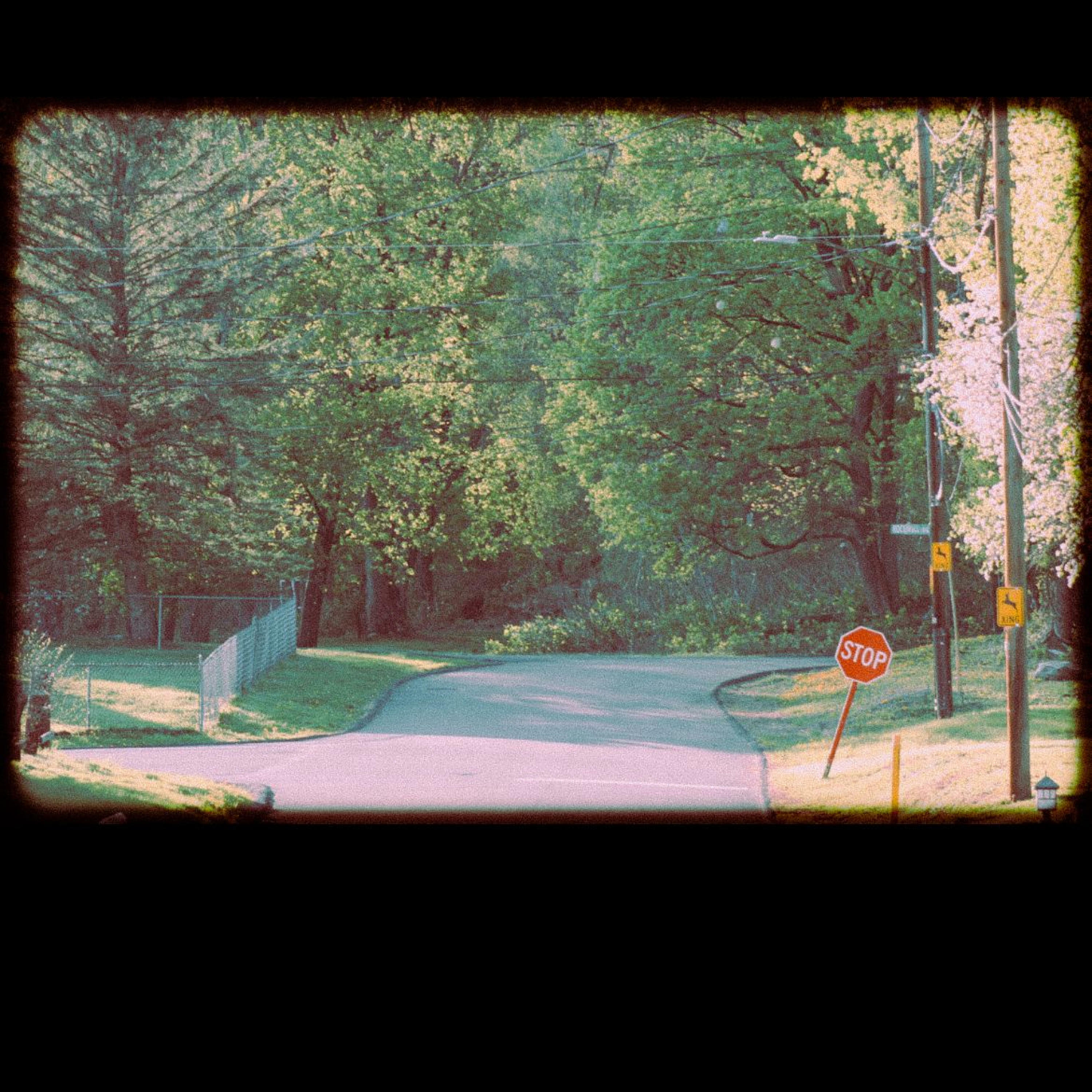 Track Image