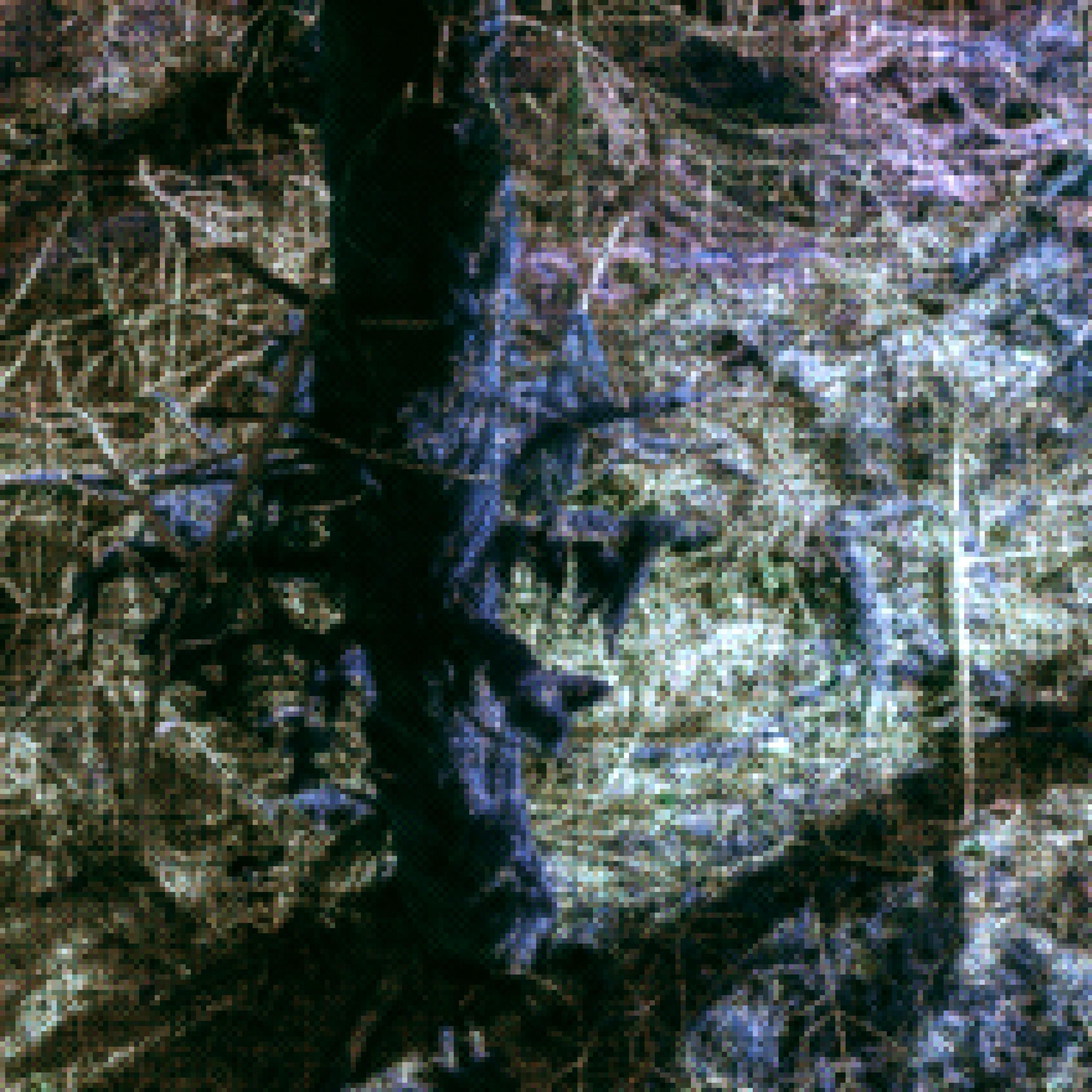 Track Image