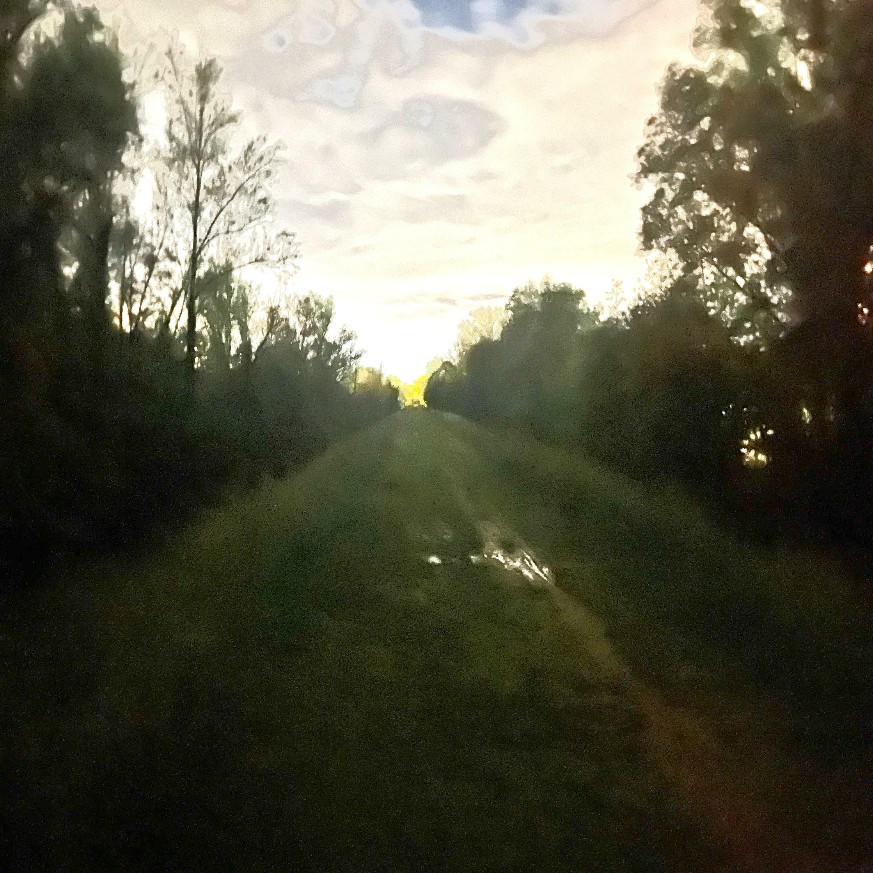Track Image