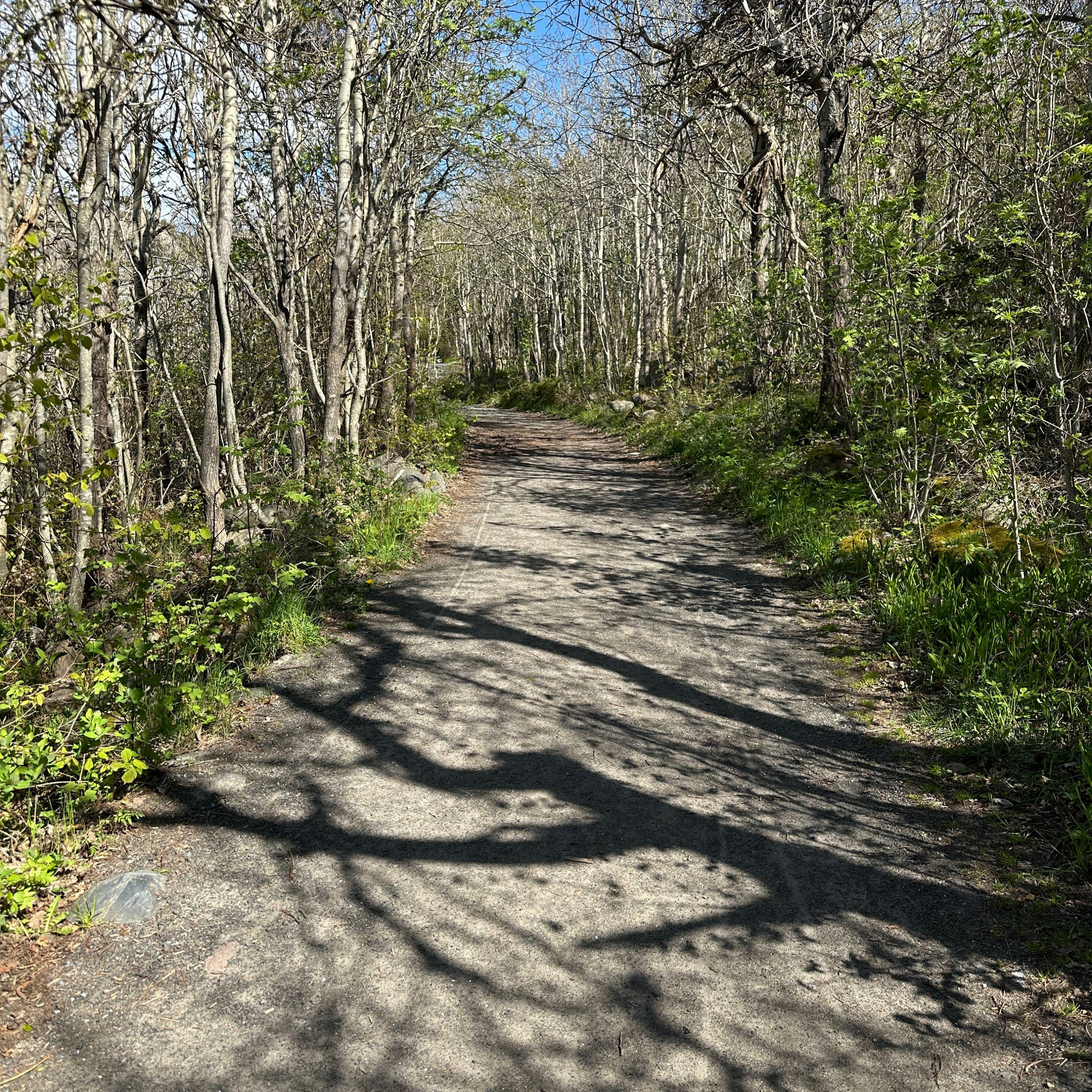 Track Image
