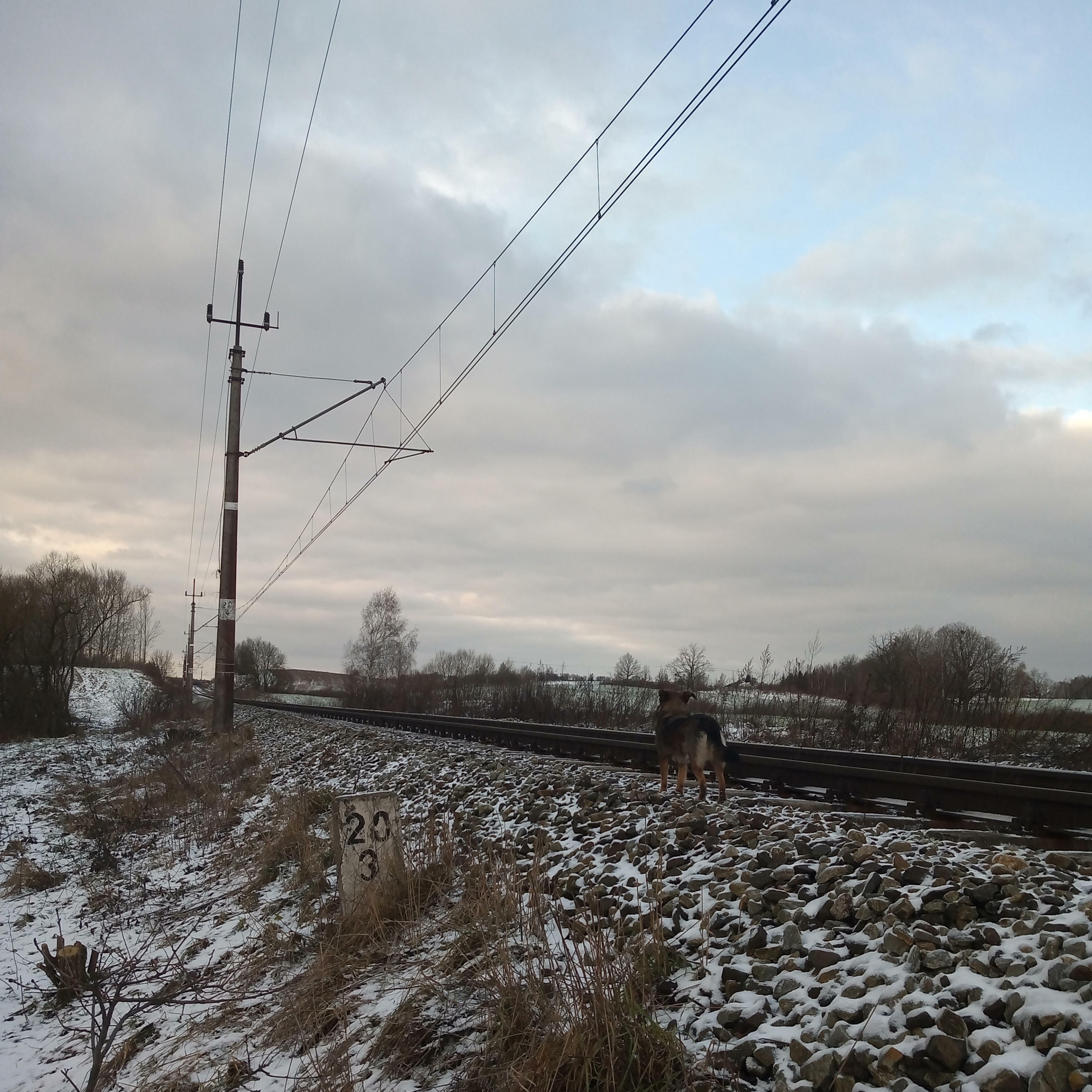 Track Image