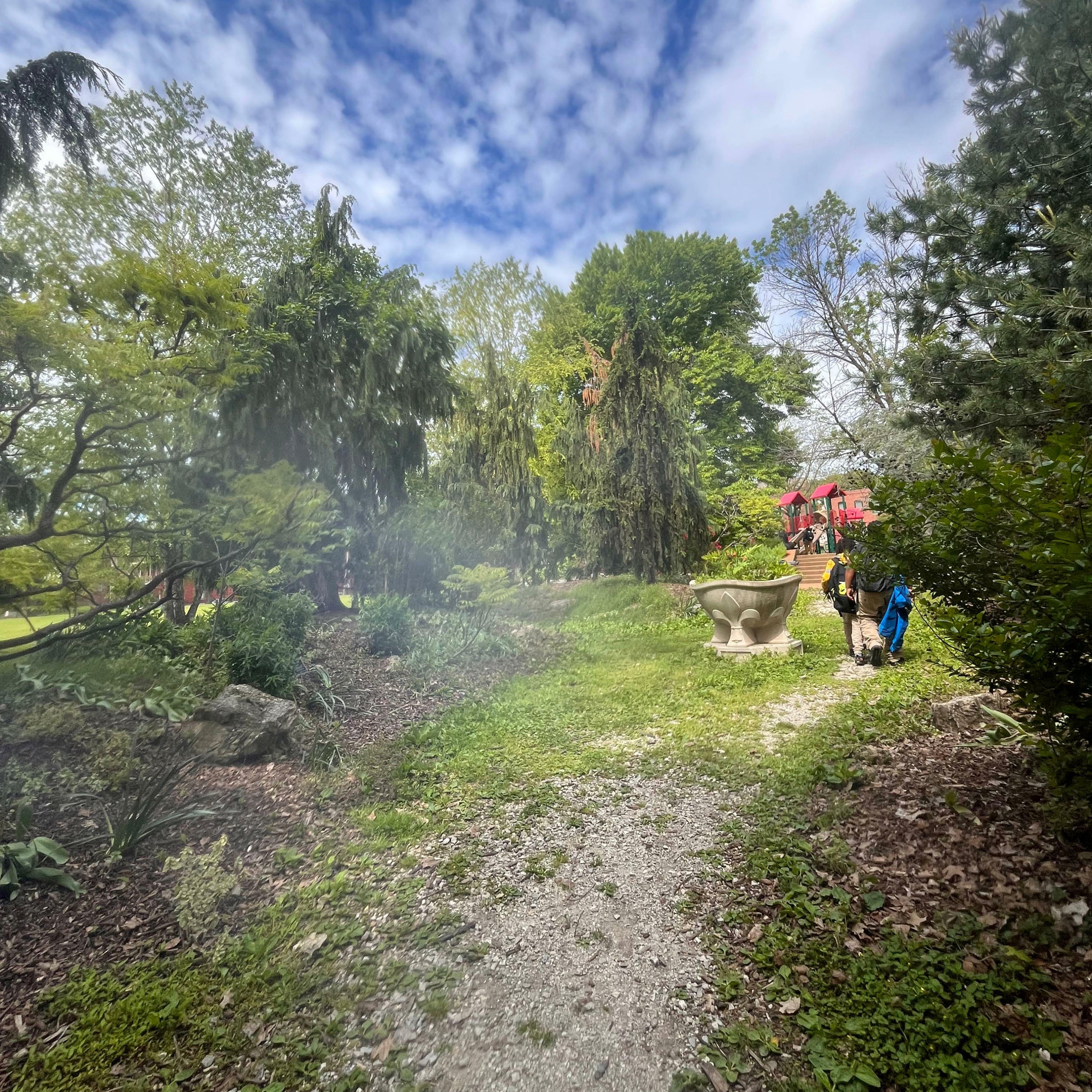 Track Image
