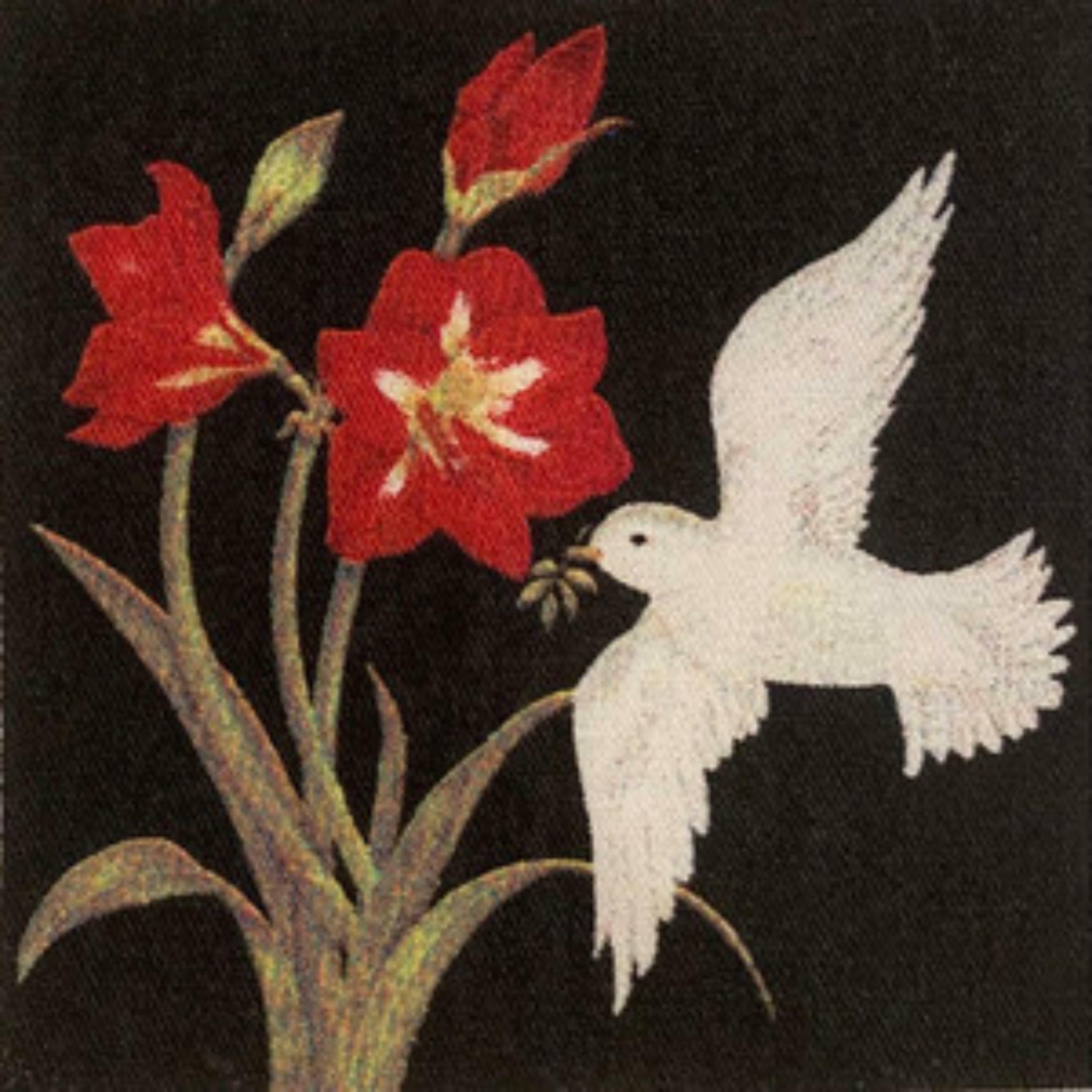 Track Image