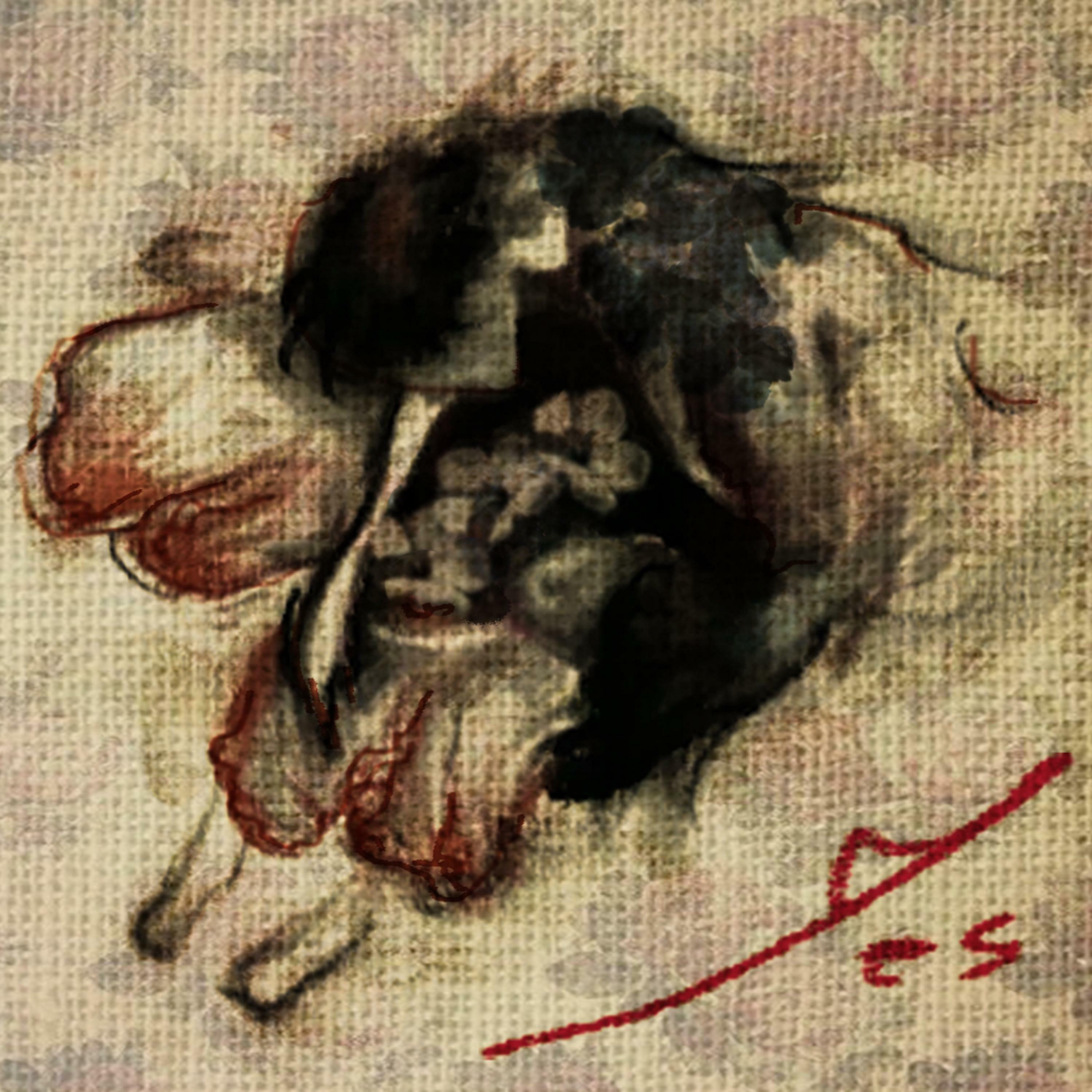 Track Image