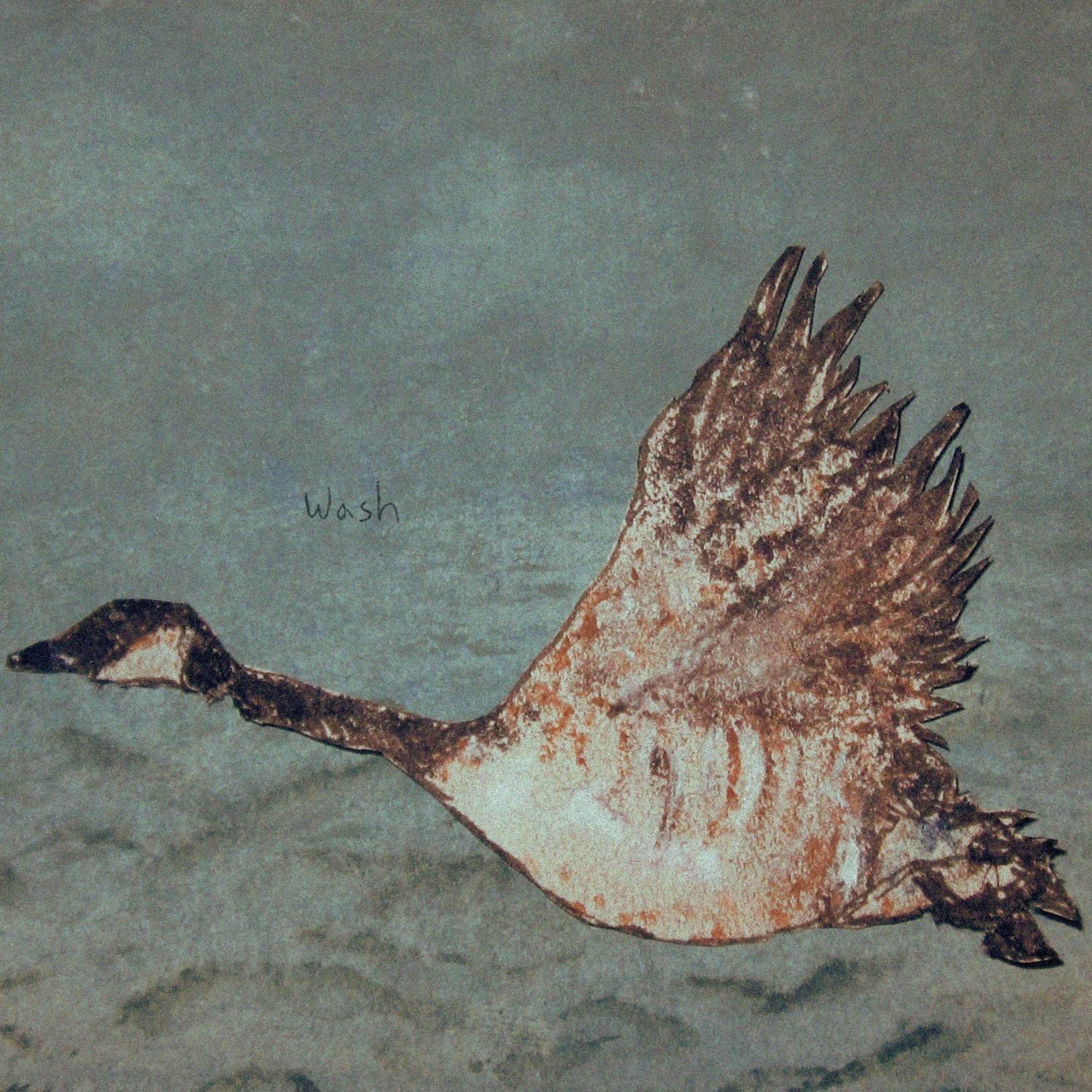Track Image