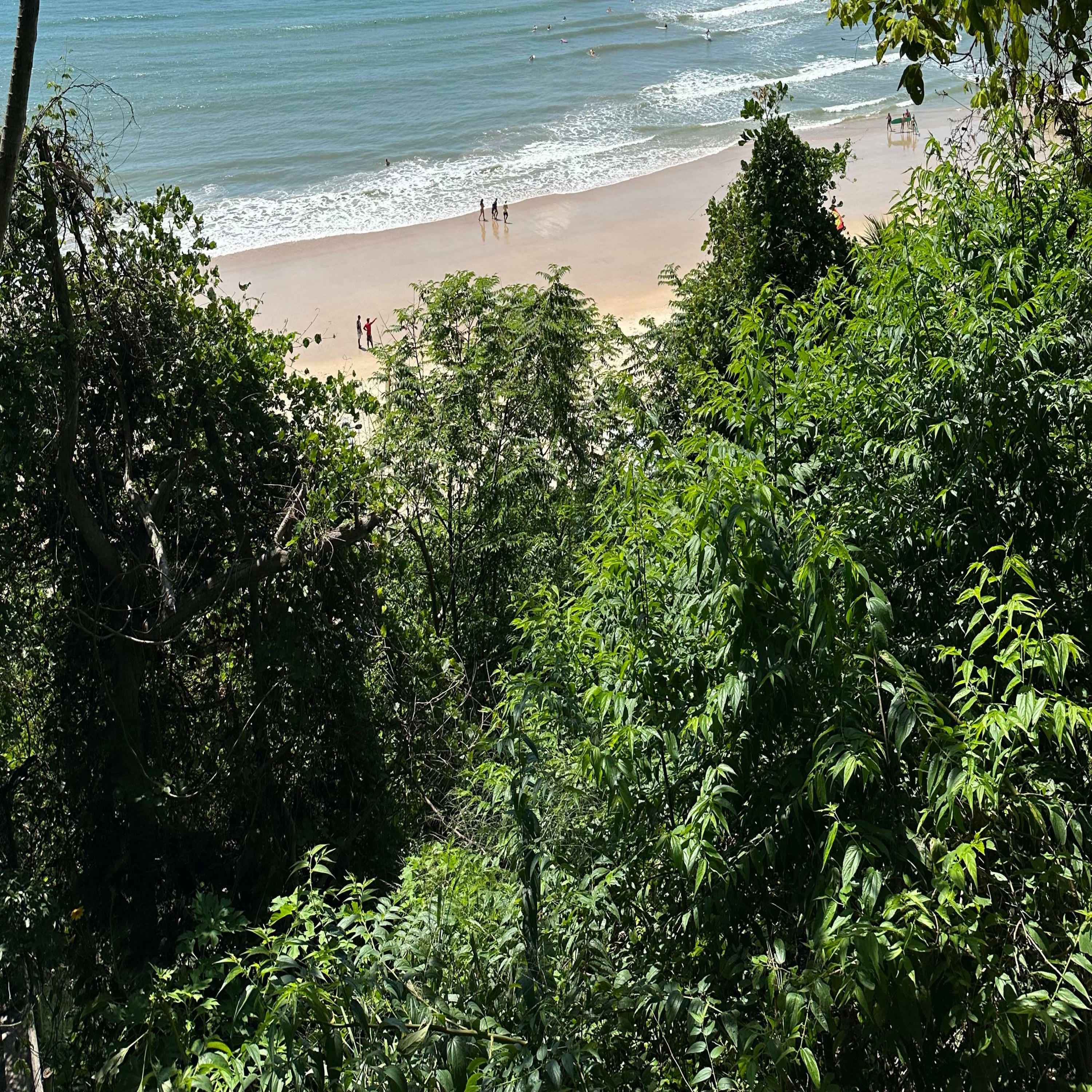 Track Image