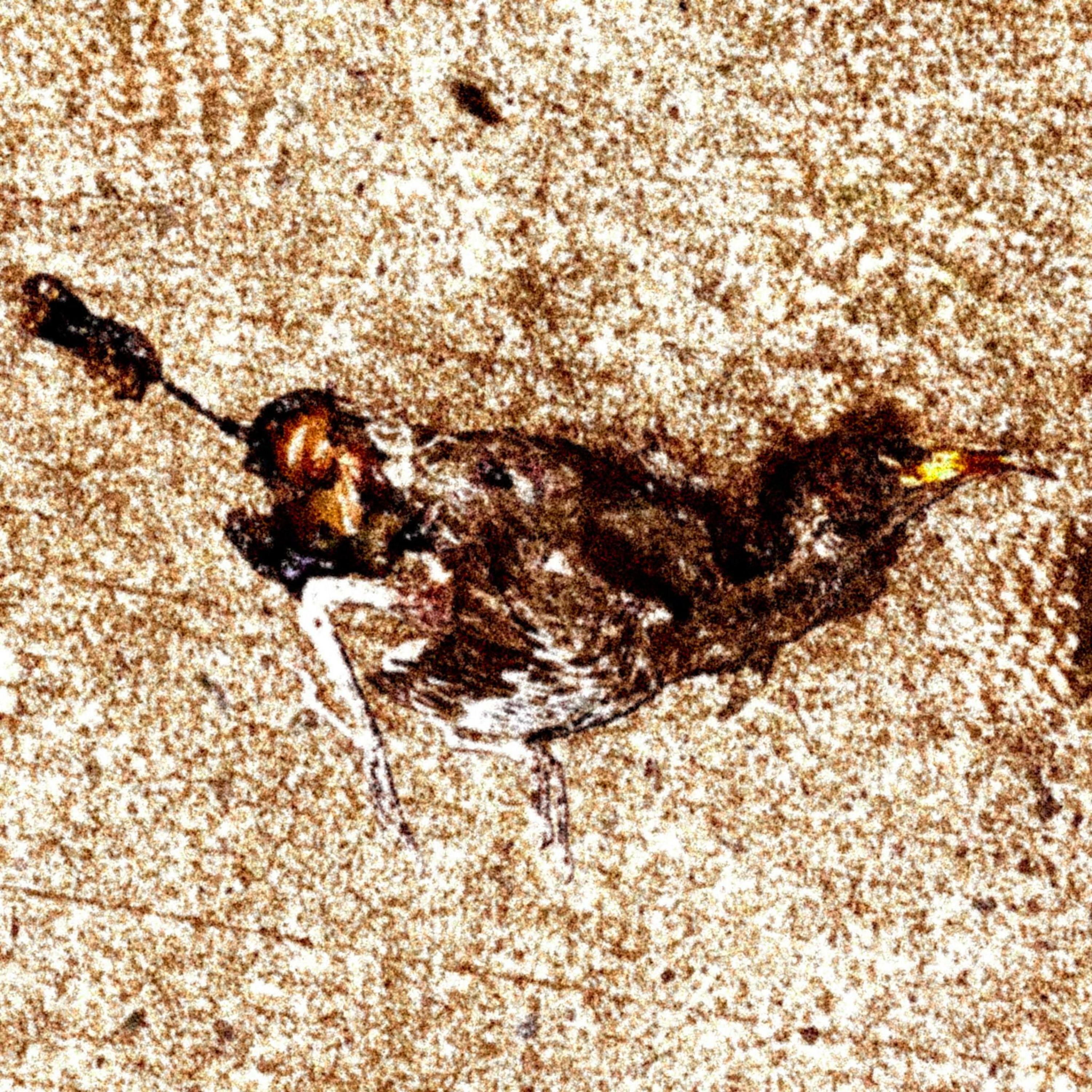 Track Image