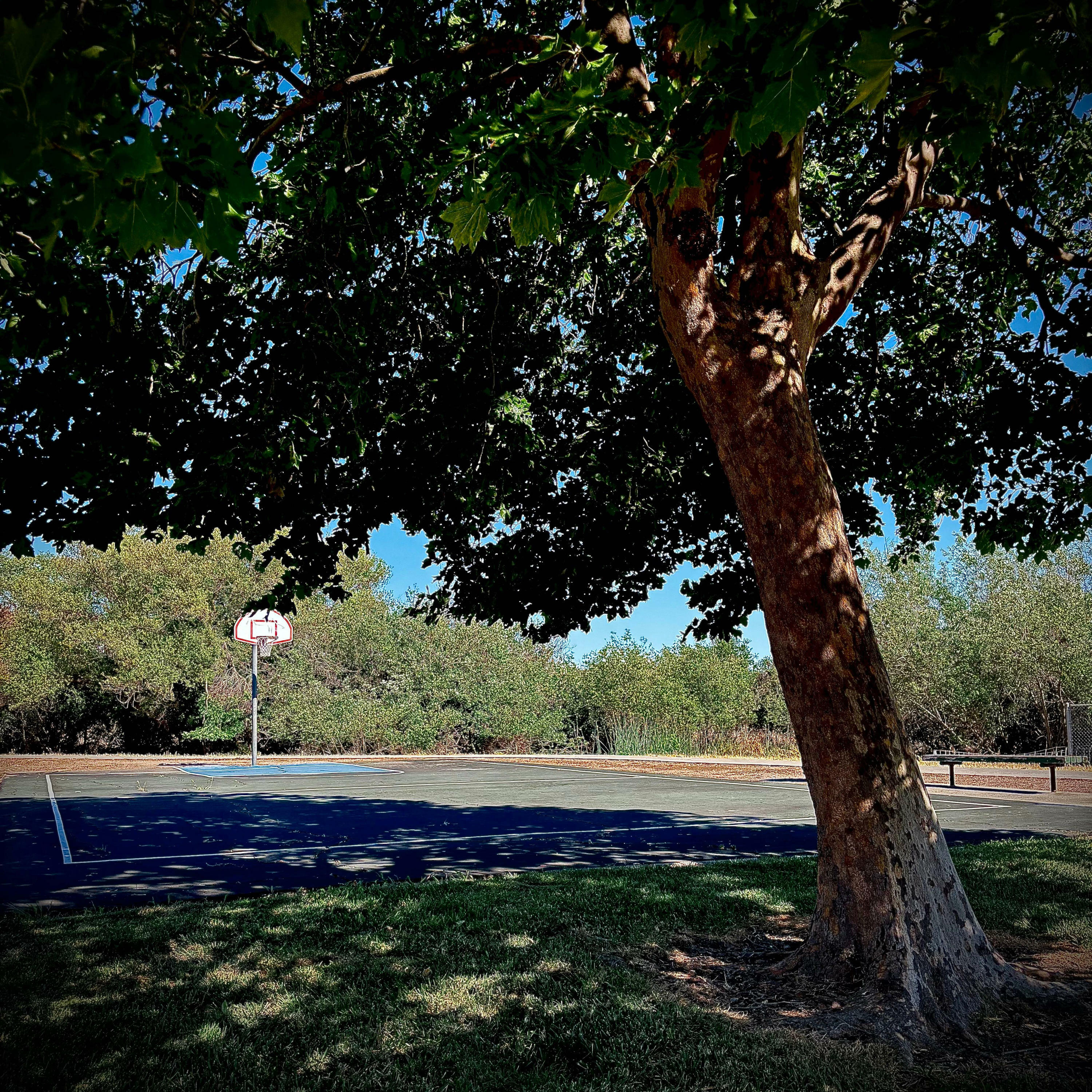 Track Image