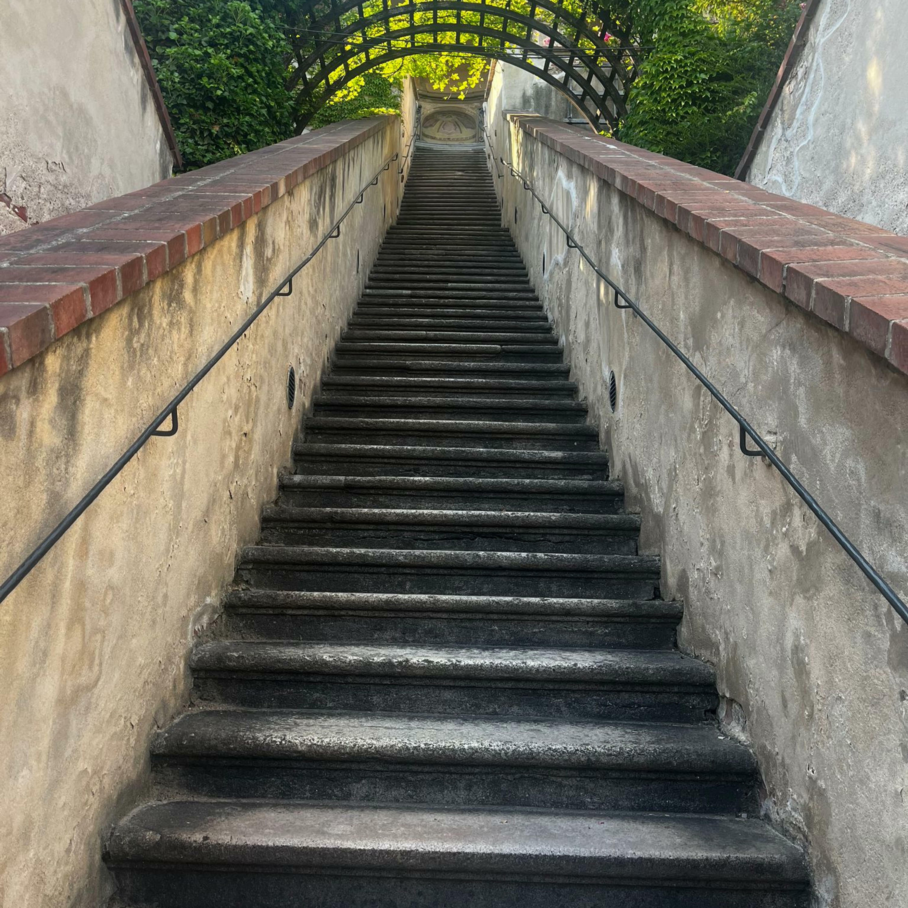 Track Image