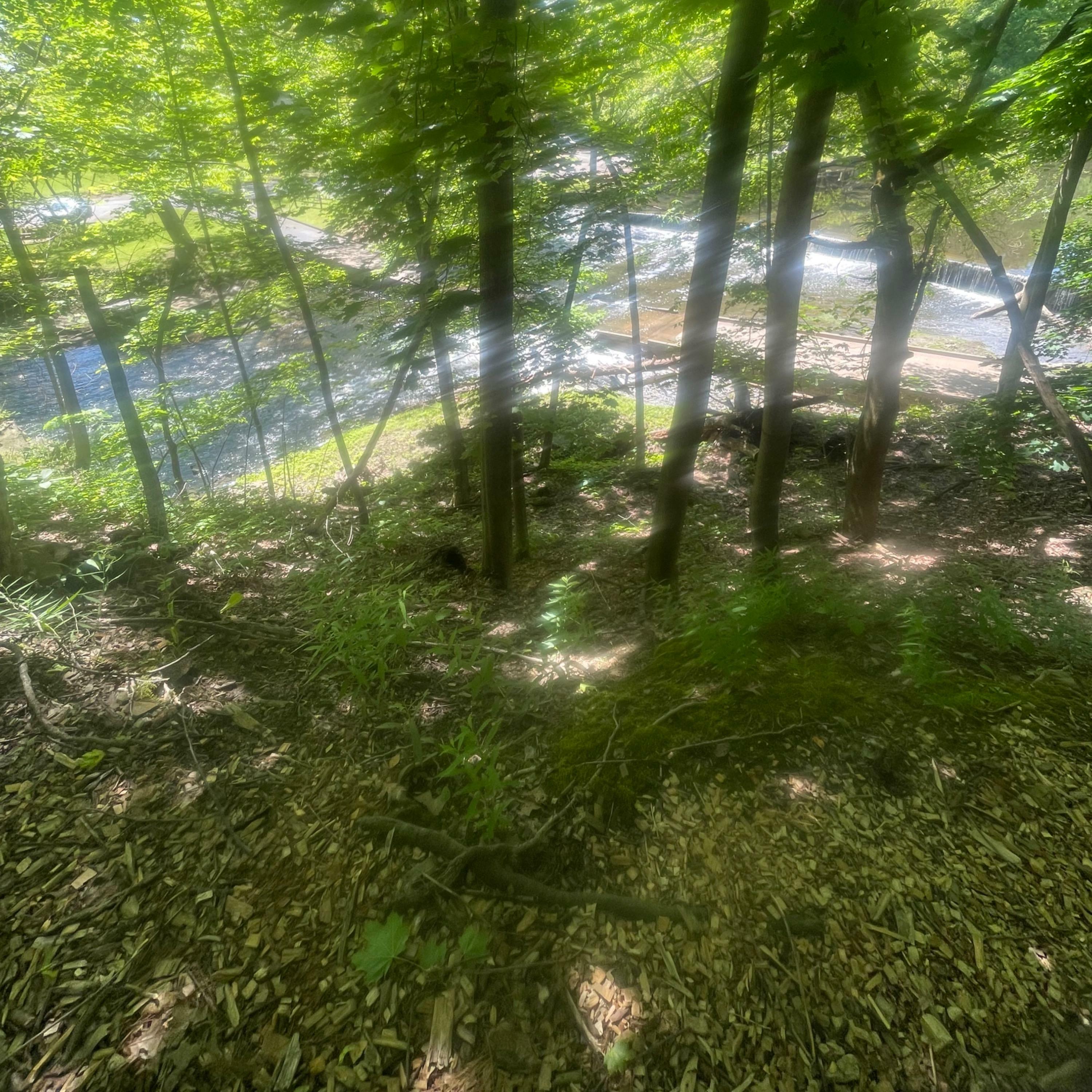 Track Image