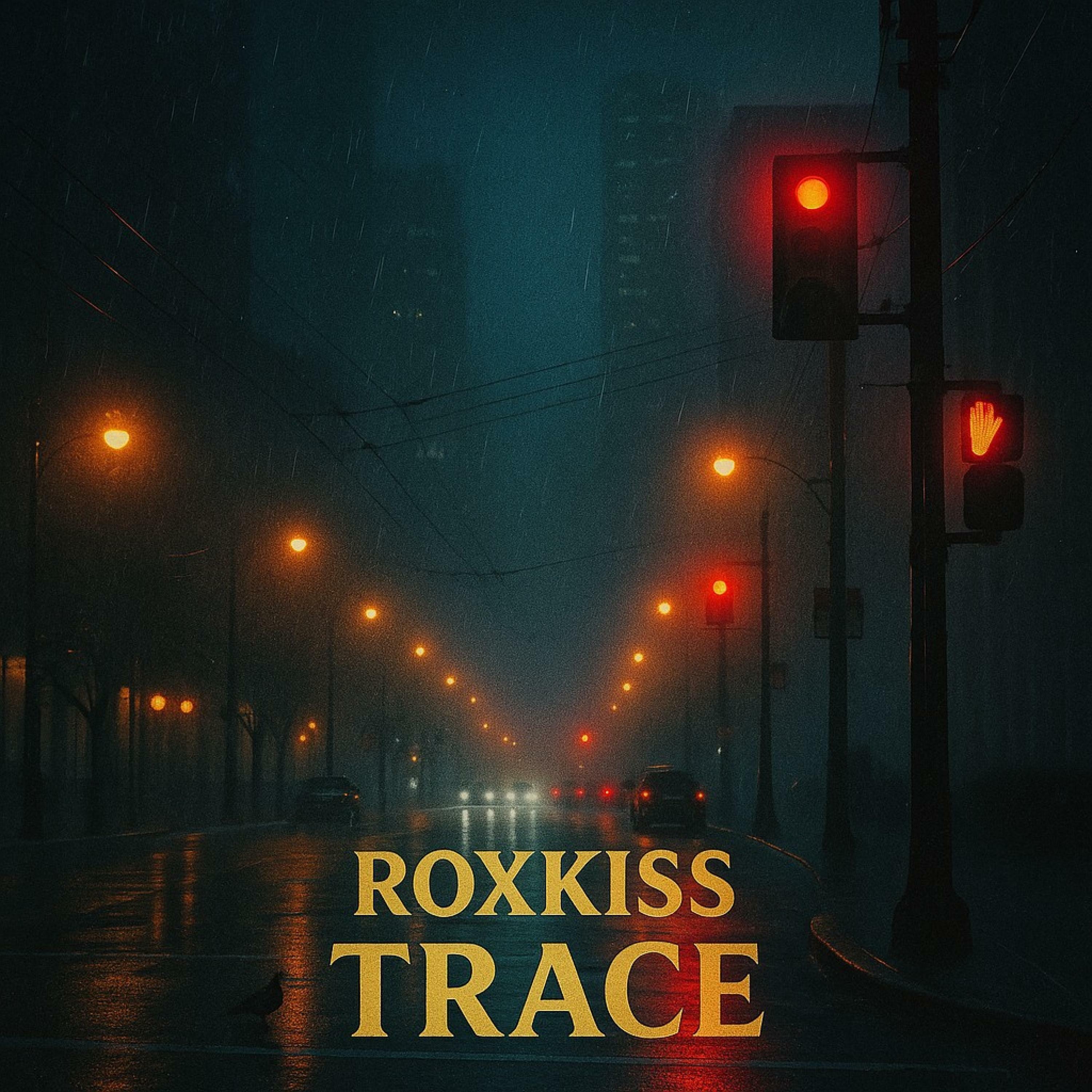 Track Image